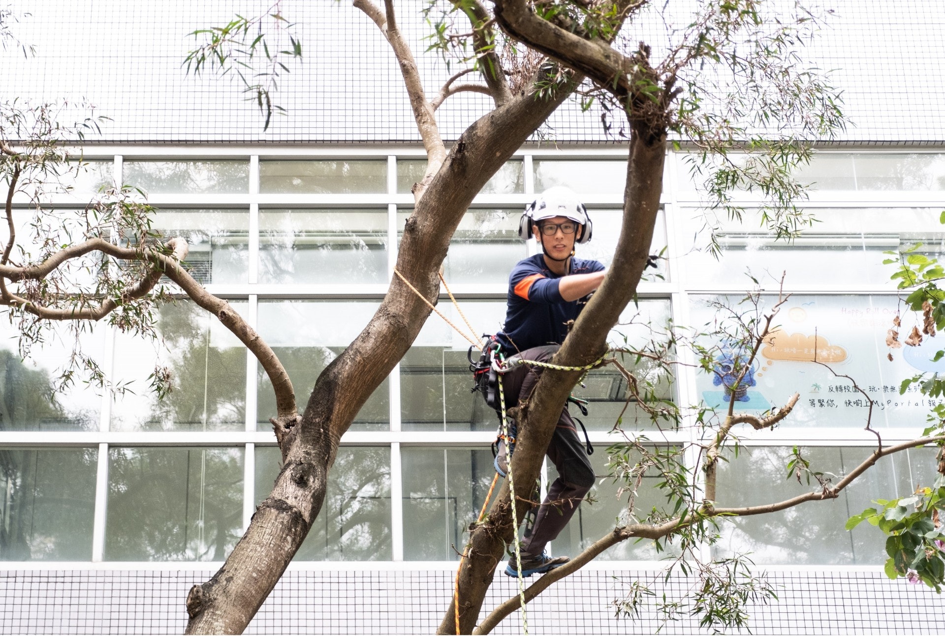 30歲樹藝師吳宇軒指,樹藝師工作正是規劃栽種植物及樹木,監察它們健康成長,同時確保公眾安全。(盧翊銘攝) 30歲樹藝師吳宇軒指,樹藝師工作正是規劃栽種植物及樹木,監察它們健康成長,同時確保公眾安全。(盧翊銘攝)