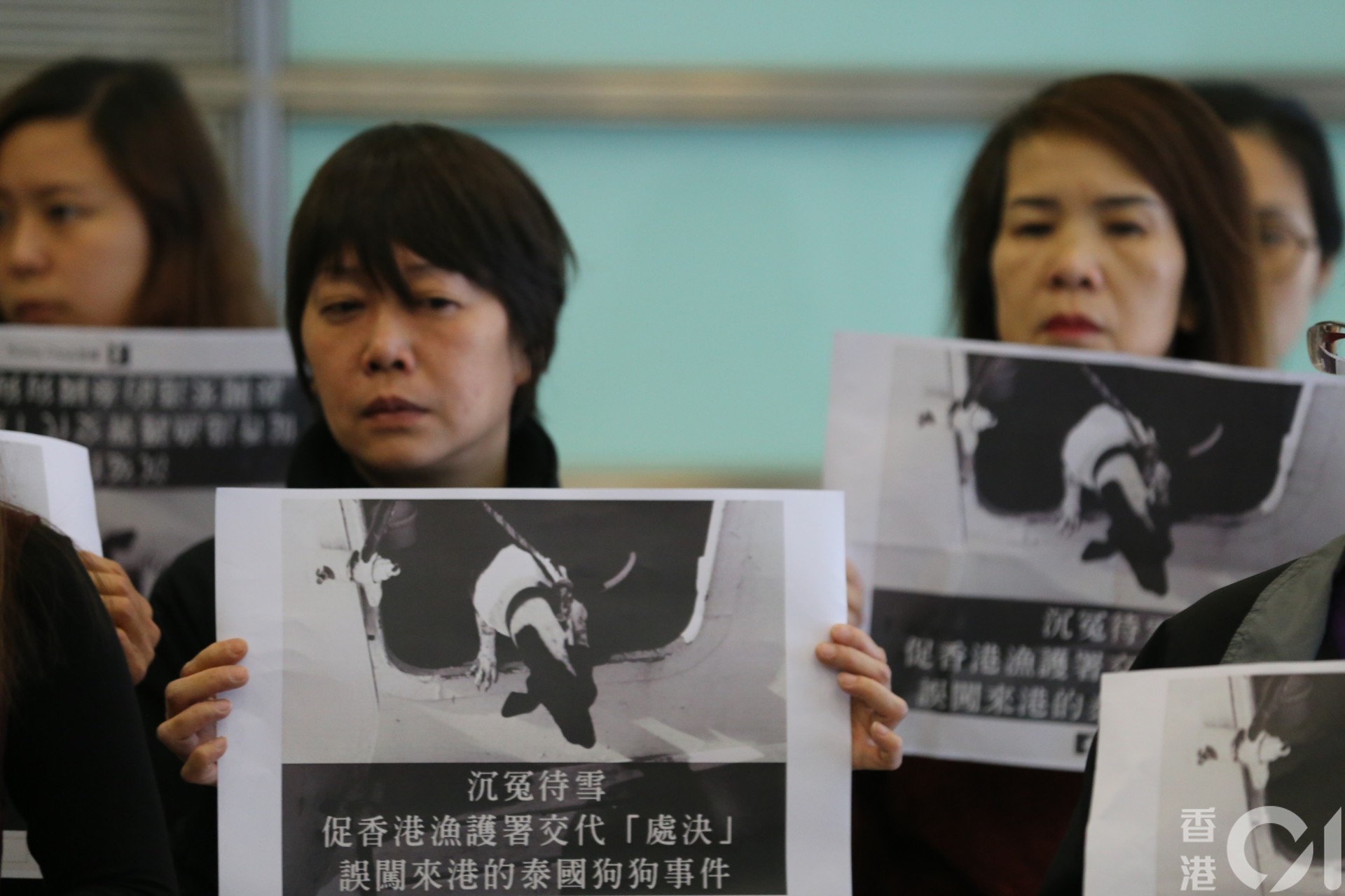 (邵沛琳攝) (邵沛琳攝)