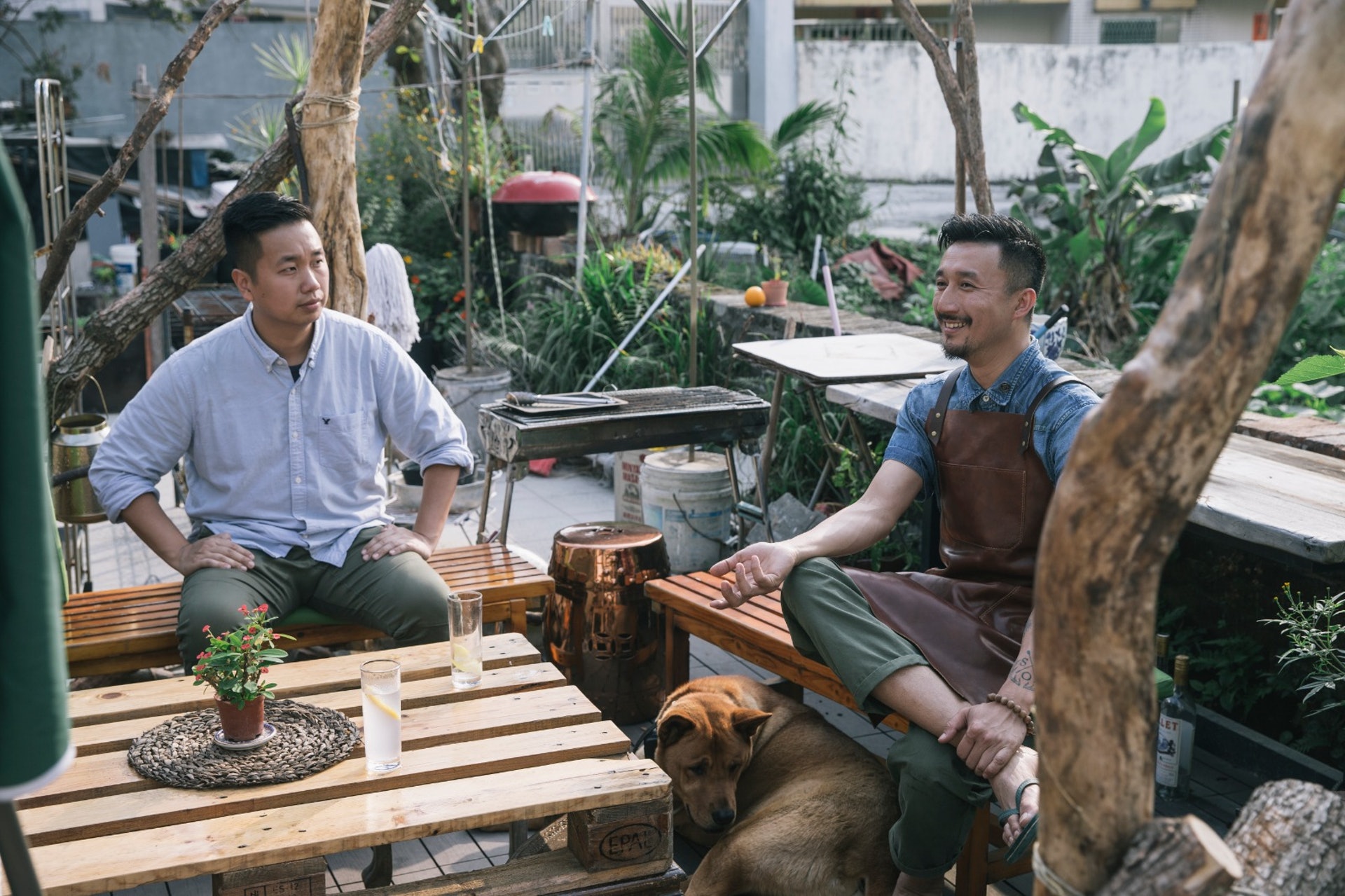 白蘭樹下 釀酒師 前護士投資7位數字八鄉研發本土味氈酒 香港01 職場 白蘭樹下 釀酒師 前護士投資7位數字八鄉研發本土味氈酒 香港01 職場