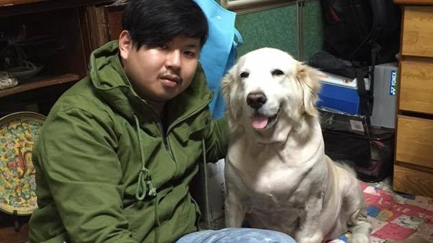 叮囑老金毛來生當他孩子 台男夢裡遇愛犬後喜獲女嬰:遵守了約定 叮囑老金毛來生當他孩子 台男夢裡遇愛犬後喜獲女嬰:遵守了約定