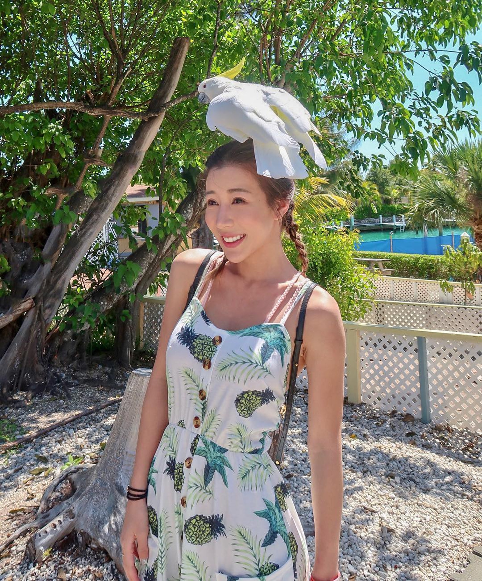 (陳婉衡IG圖片) (陳婉衡IG圖片)