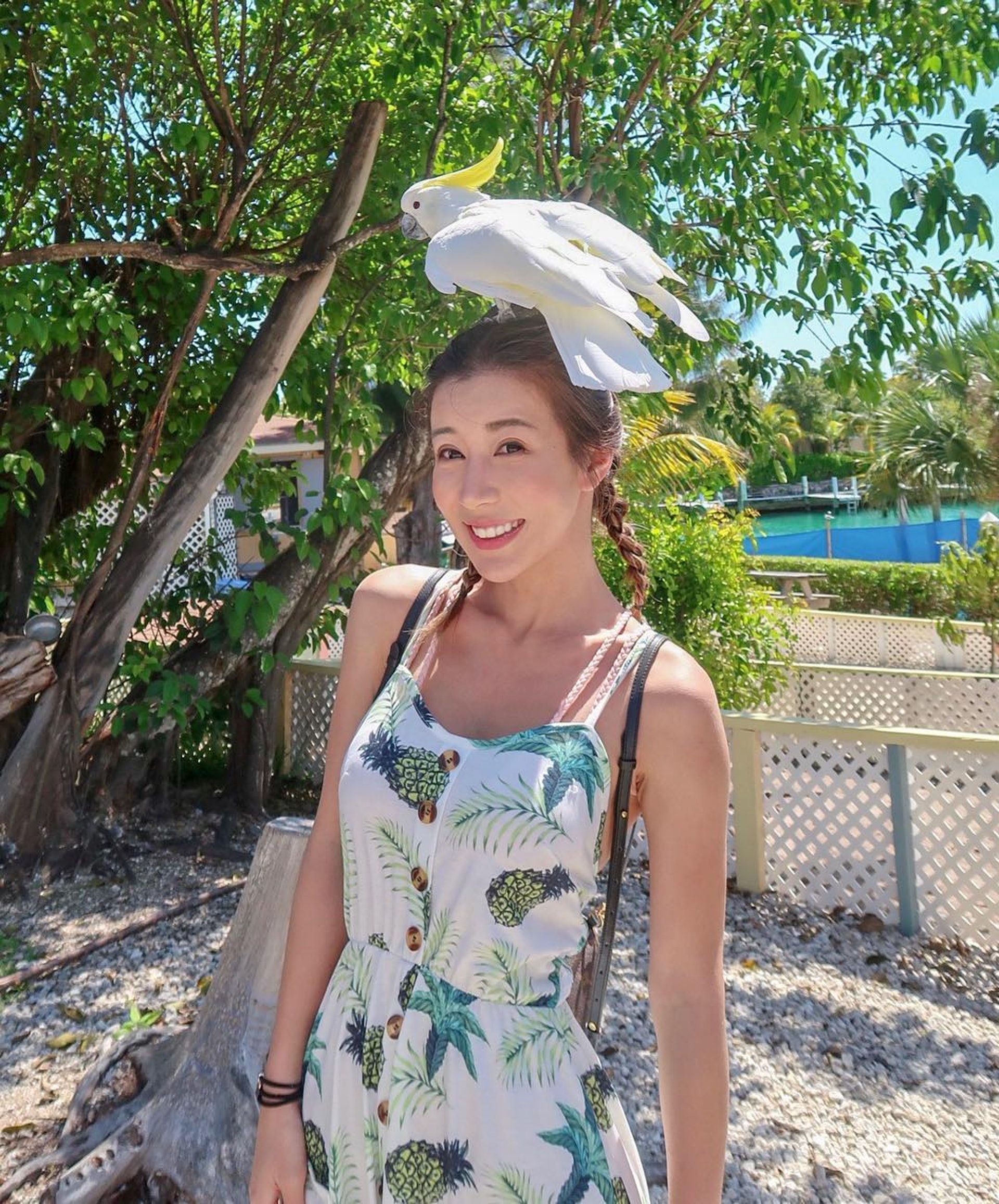 (陳婉衡IG圖片) (陳婉衡IG圖片)