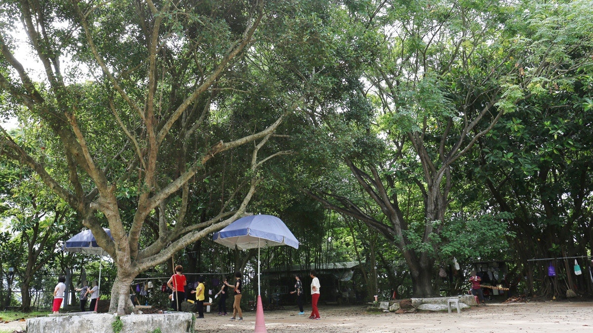 【晨運樂園】主教山有望正式開放 街坊促加照明系統 唔使再偷摸 【晨運樂園】主教山有望正式開放 街坊促加照明系統 唔使再偷摸