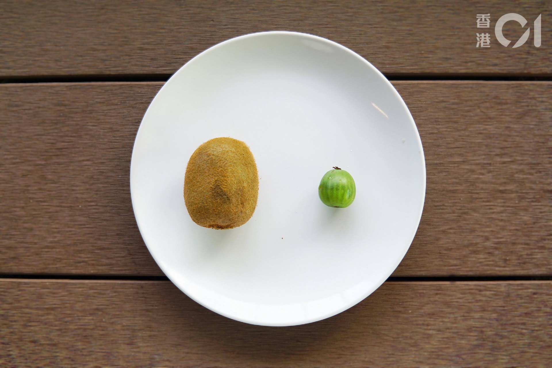 從外觀來看,奇異果跟奇異莓分別非常大,奇異果外皮毛茸茸,食之前會去皮,但奇異莓則表皮光滑,跟提子、車厘茄等差不多,並可以連皮原粒進食。記者親身摸上手後,感覺到後者整體較腍身,表皮又薄,似是大力些少都會把它捏爛。