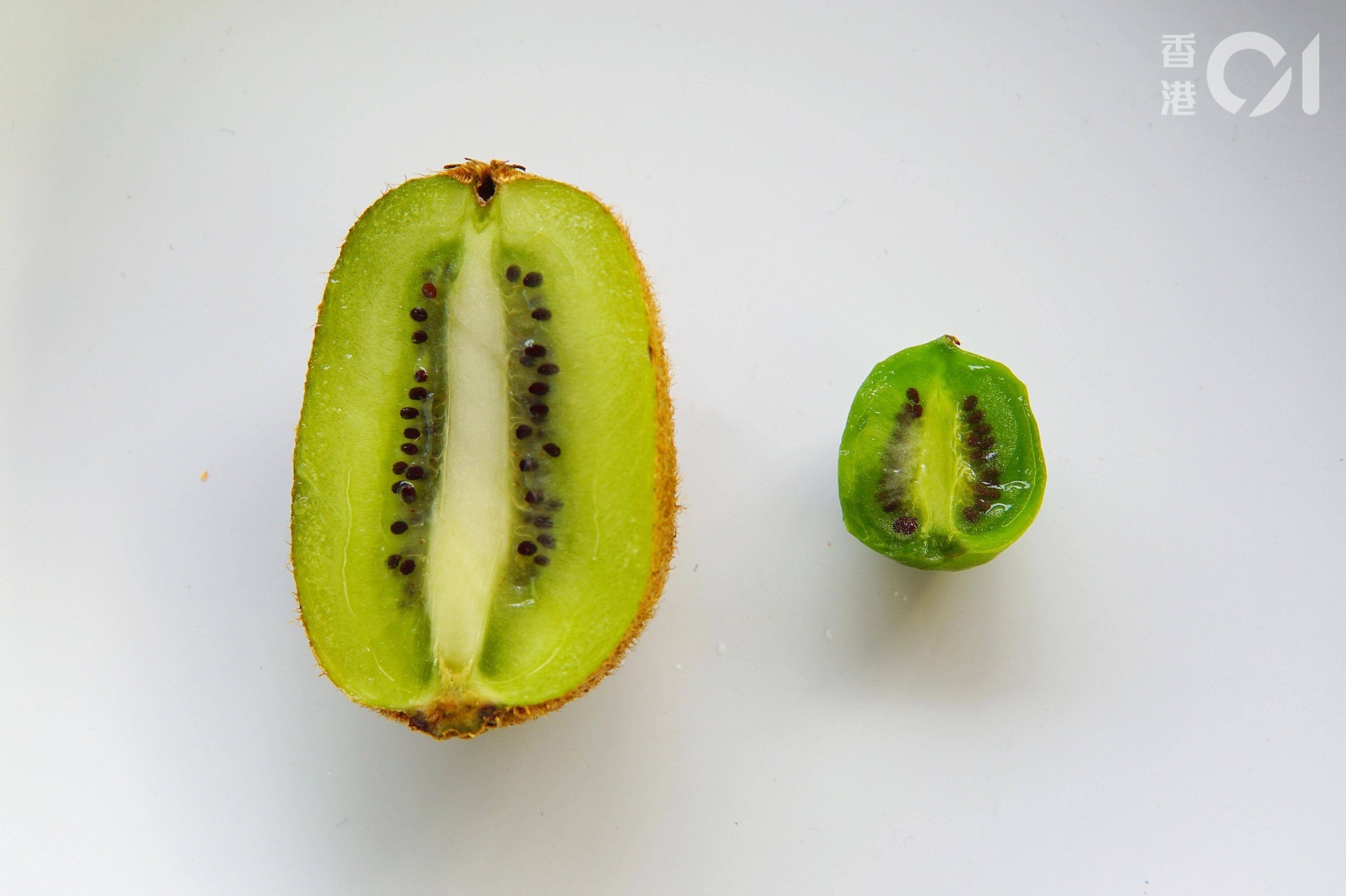 切開兩種水果後發覺內裡非常相似,都是綠色果肉和黑色的可食用果籽,奇異莓吃起來較腍和清甜,今次吃到的一點也不酸。