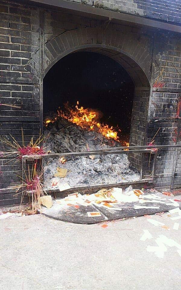 這些狗狗最後被活活燒死。(Facebook@山上貓狗協會) 這些狗狗最後被活活燒死。(Facebook@山上貓狗協會)