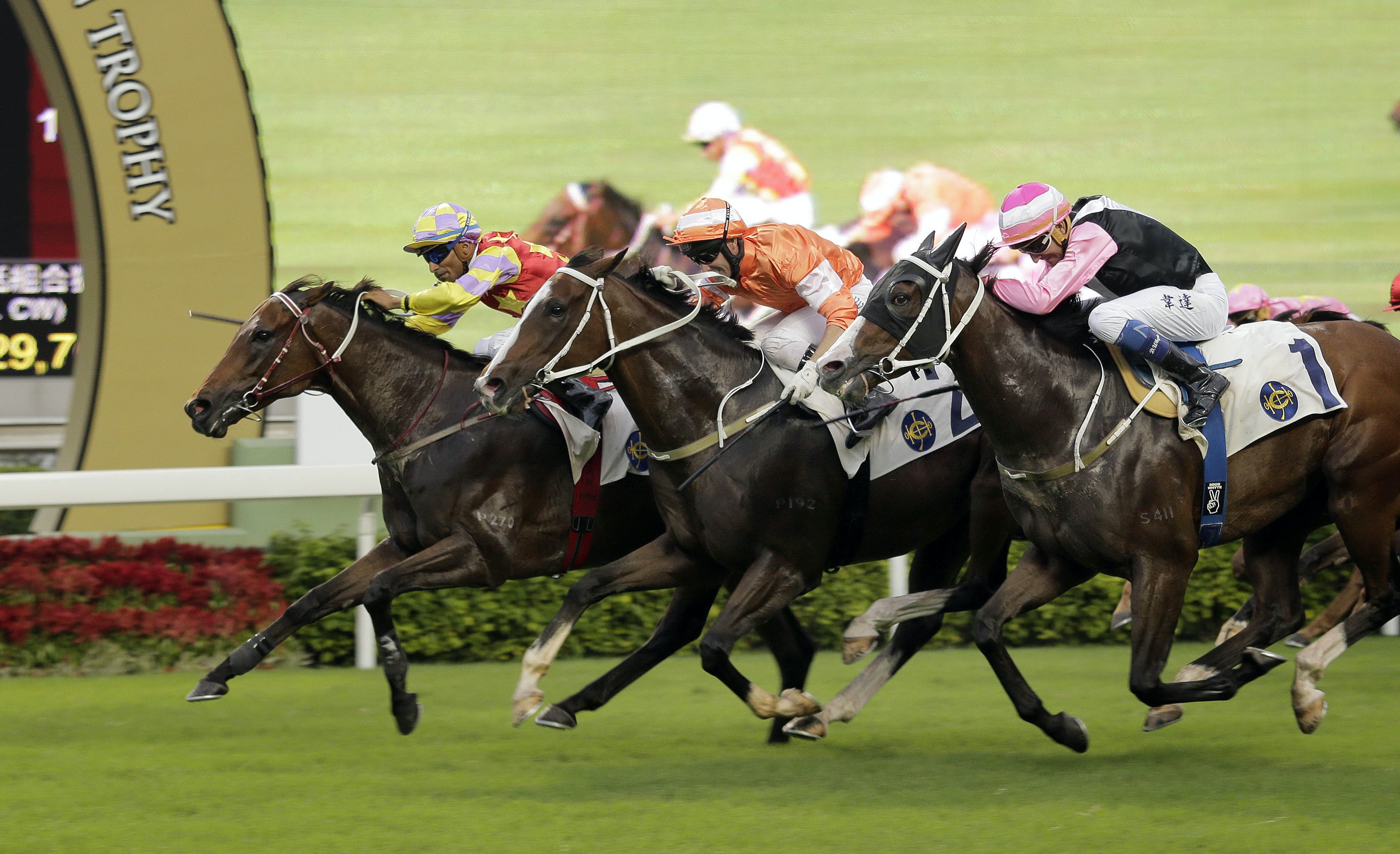 刀仔真的鋸大樹 網上傳馬迷下注千元贏逾1600萬 香港01 熱爆話題