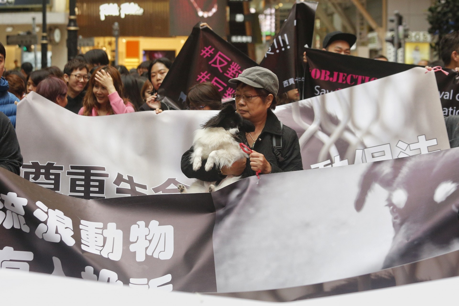 不少市民帶同狗隻參加遊行。(張浩維攝) 不少市民帶同狗隻參加遊行。(張浩維攝)