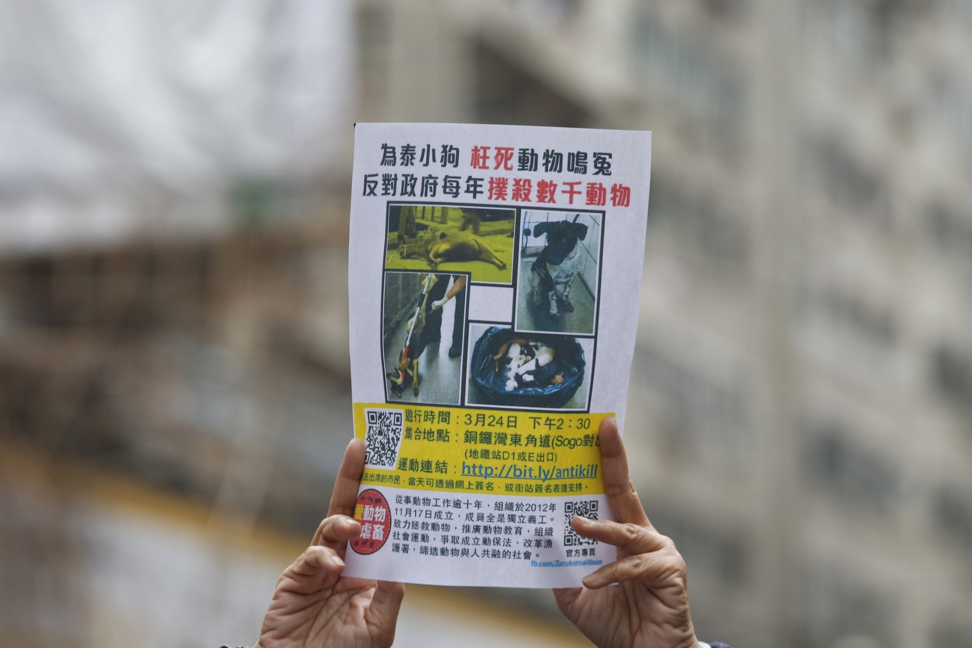 (張浩維攝) (張浩維攝)