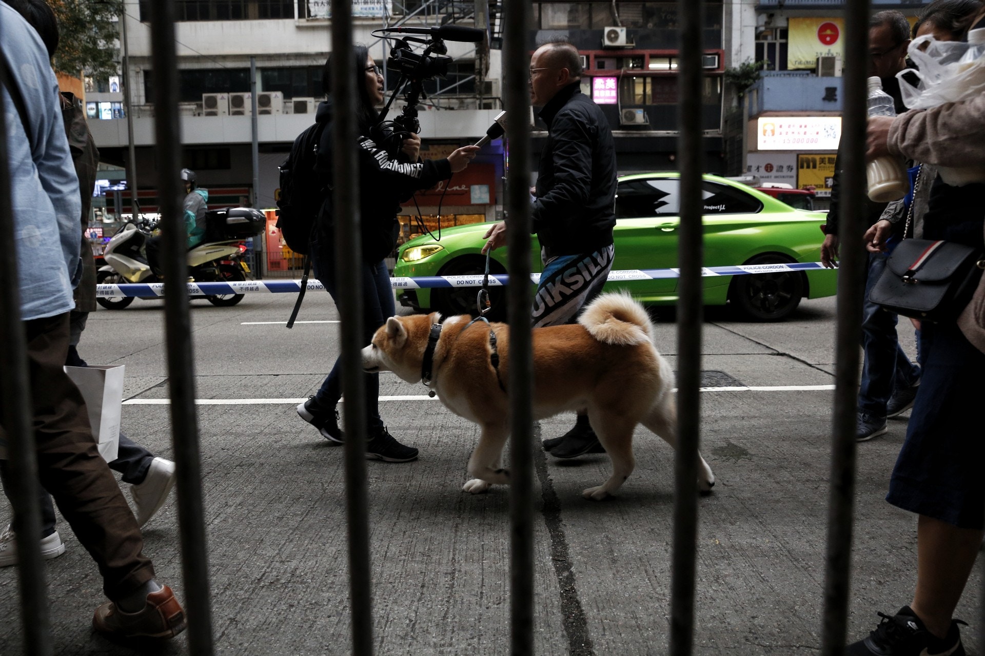 (張浩維攝) (張浩維攝)