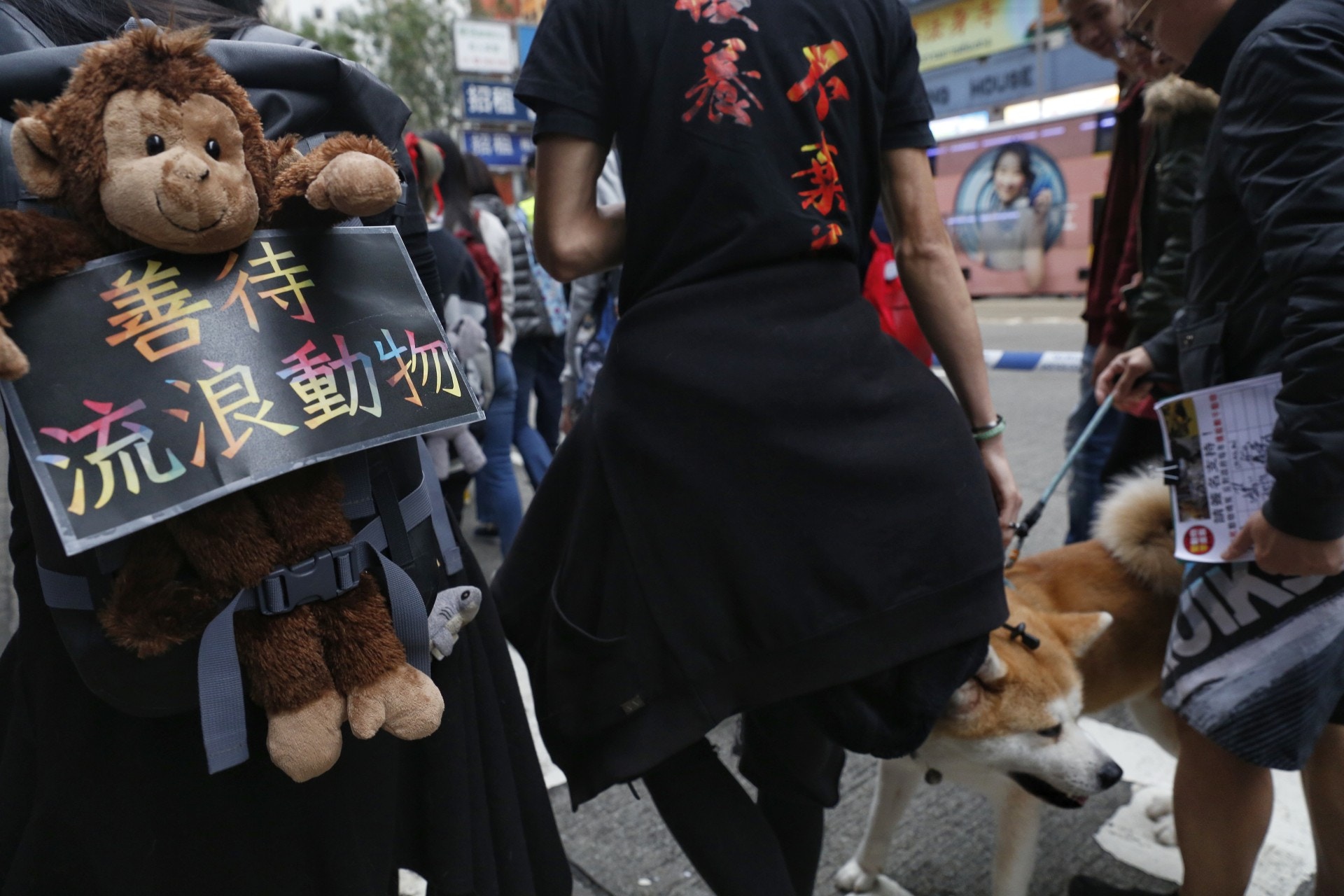 (張浩維攝) (張浩維攝)