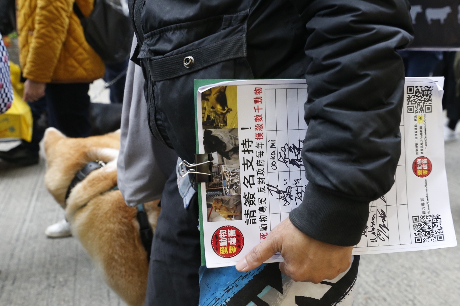 (張浩維攝) (張浩維攝)