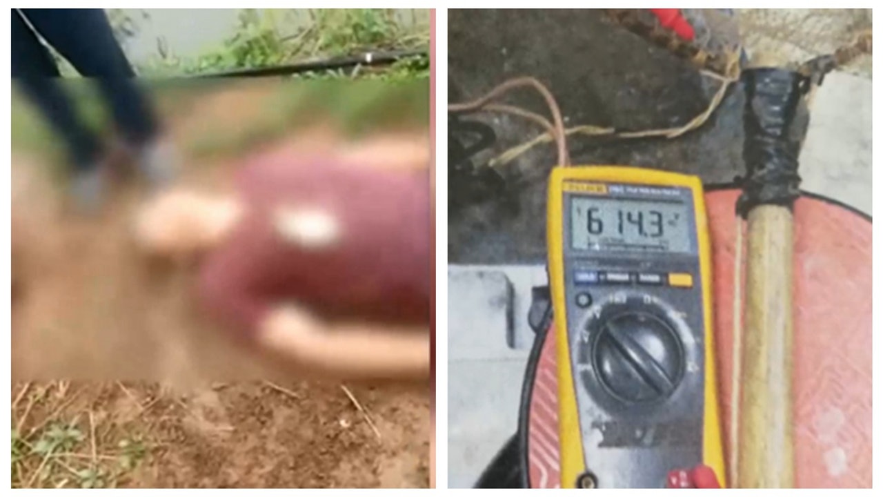 江蘇懵男約好友散心電魚 失手電死對方謊稱中暑身亡 江蘇懵男約好友散心電魚 失手電死對方謊稱中暑身亡