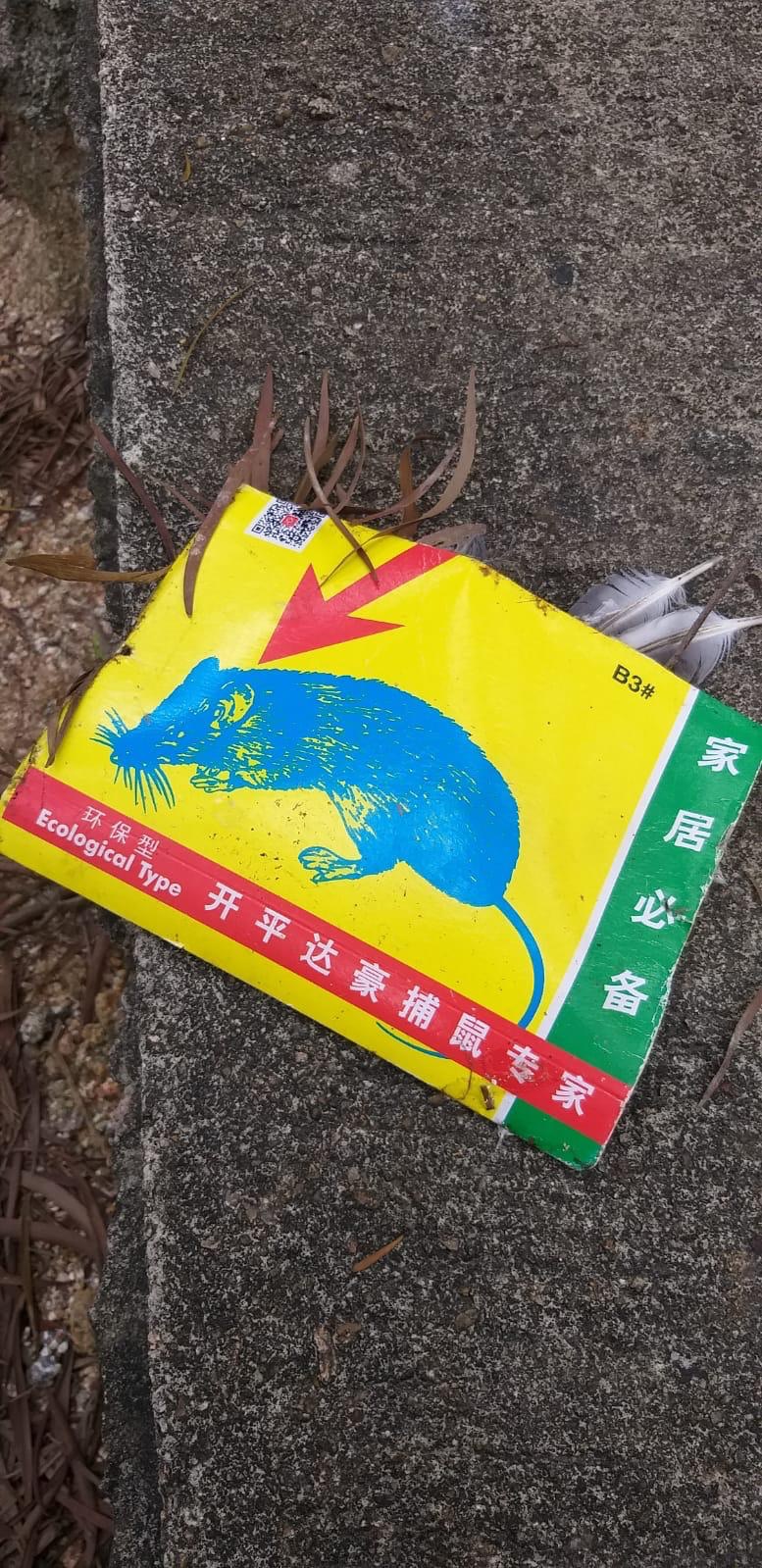 一名男子疑於後山位置,以老鼠膠捉白鴿。(讀者提供) 一名男子疑於後山位置,以老鼠膠捉白鴿。(讀者提供)