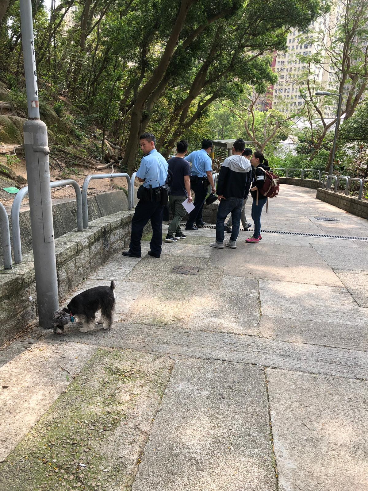 (讀者提供) (讀者提供)