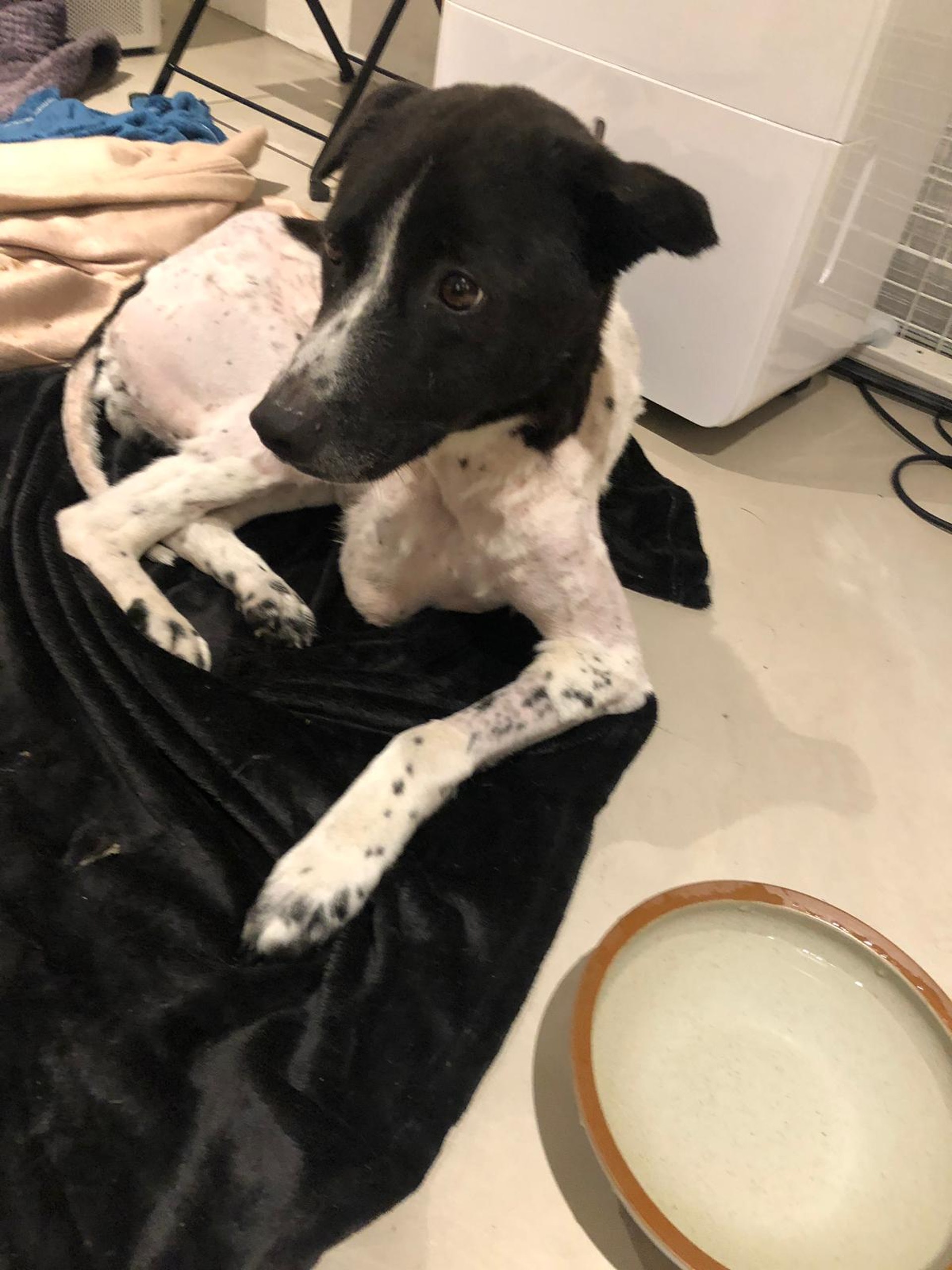 目前下落不明。(受訪者提供) 目前下落不明。(受訪者提供)