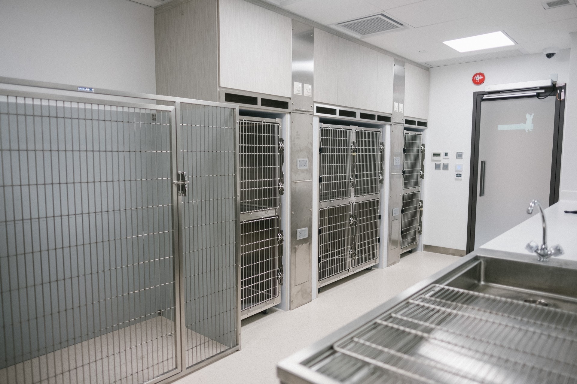 位於深水埗的城大深水埗動物醫療中心環境明顯較城大太平道診所寬敞。(歐嘉樂攝) 位於深水埗的城大深水埗動物醫療中心環境明顯較城大太平道診所寬敞。(歐嘉樂攝)