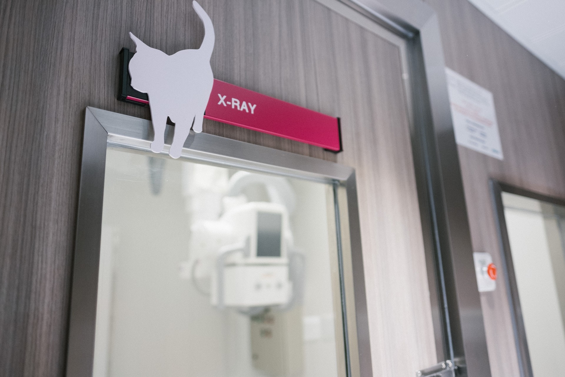 新中心空間較城大太平道診所增近一倍,新增了不少儀器及設備,包括手術預備室、心臟專科治療室、貓狗分別專用等候區等。(歐嘉樂攝) 新中心空間較城大太平道診所增近一倍,新增了不少儀器及設備,包括手術預備室、心臟專科治療室、貓狗分別專用等候區等。(歐嘉樂攝)