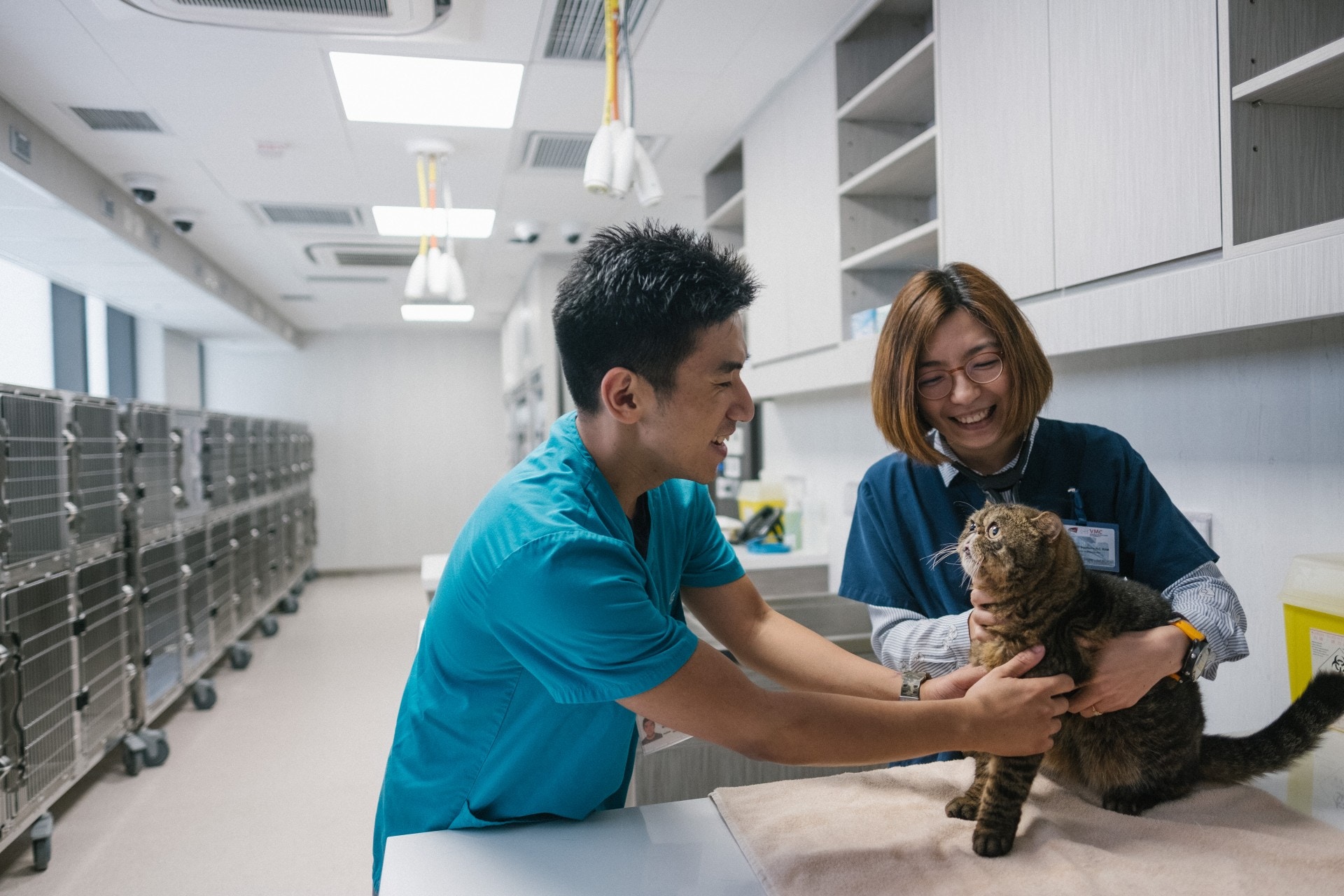 整間新中心將有180名員工提供服務,包括37名獸醫。(歐嘉樂攝) 整間新中心將有180名員工提供服務,包括37名獸醫。(歐嘉樂攝)