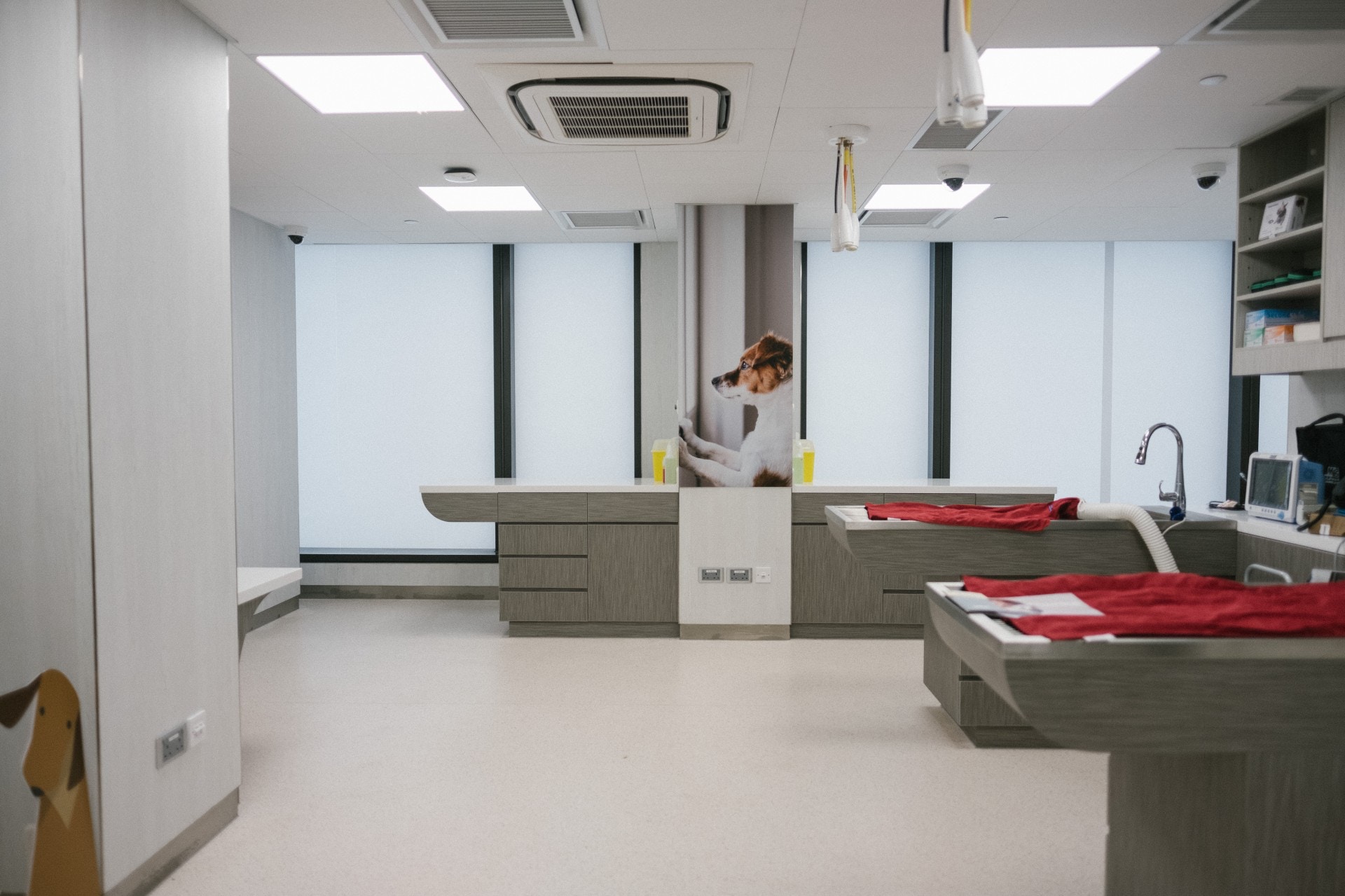 城大深水埗動物醫療中心將會提供全年無休的24小時急症服務。(歐嘉樂攝) 城大深水埗動物醫療中心將會提供全年無休的24小時急症服務。(歐嘉樂攝)