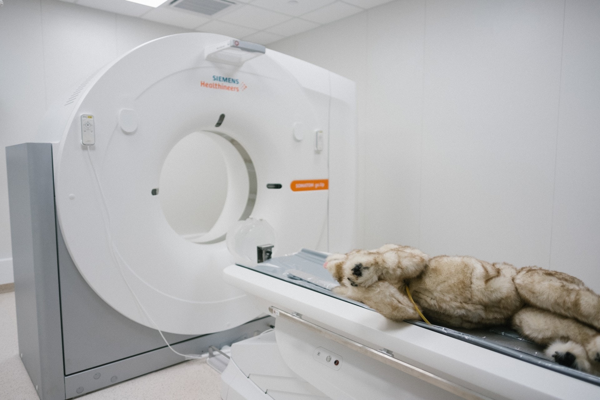 中心購入可一次過將整隻動物進行掃描的64切面電腦斷層掃描儀,可更快速、清晰和準確地進行檢查。(歐嘉樂攝) 中心購入可一次過將整隻動物進行掃描的64切面電腦斷層掃描儀,可更快速、清晰和準確地進行檢查。(歐嘉樂攝)