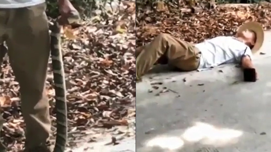 徒手擒獲劇毒過山烏 蛇王來不及炫耀 下一秒遭反咬失救亡! 徒手擒獲劇毒過山烏 蛇王來不及炫耀 下一秒遭反咬失救亡!