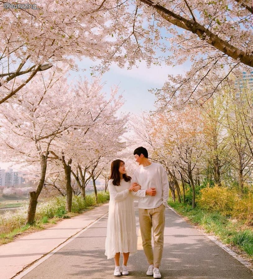 01. 安養川櫻花步道｜從永登浦延綿到衿川、加山洞、光明市週邊的櫻花隧道，每逢櫻花季，道路兩旁都會是一片粉紅花海，好壯觀。（圖片來源︰kangseo_nolja@IG）