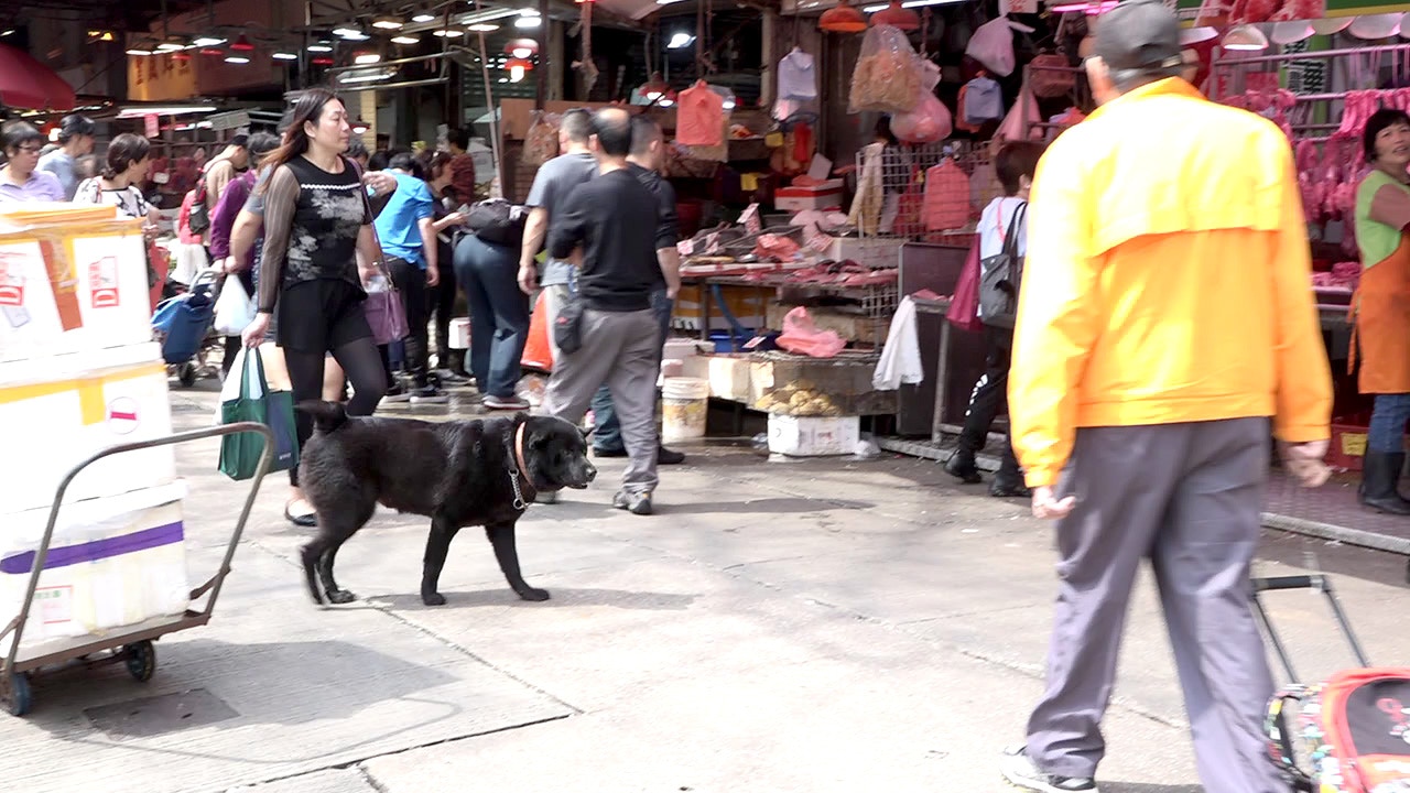 不少街坊都主動上前與旺仔玩。(譚威權攝) 不少街坊都主動上前與旺仔玩。(譚威權攝)