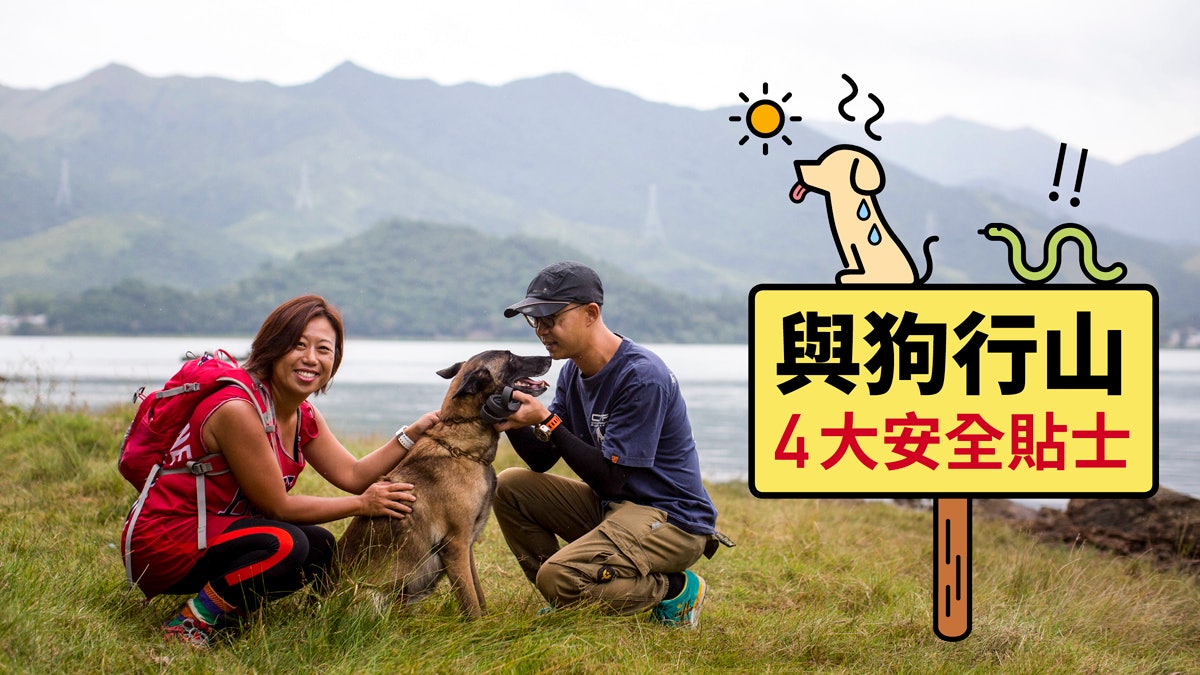 【狗中暑】狗狗行山危機 愛協督察:小心中暑、蛇咬、捕獸器 【狗中暑】狗狗行山危機 愛協督察:小心中暑、蛇咬、捕獸器