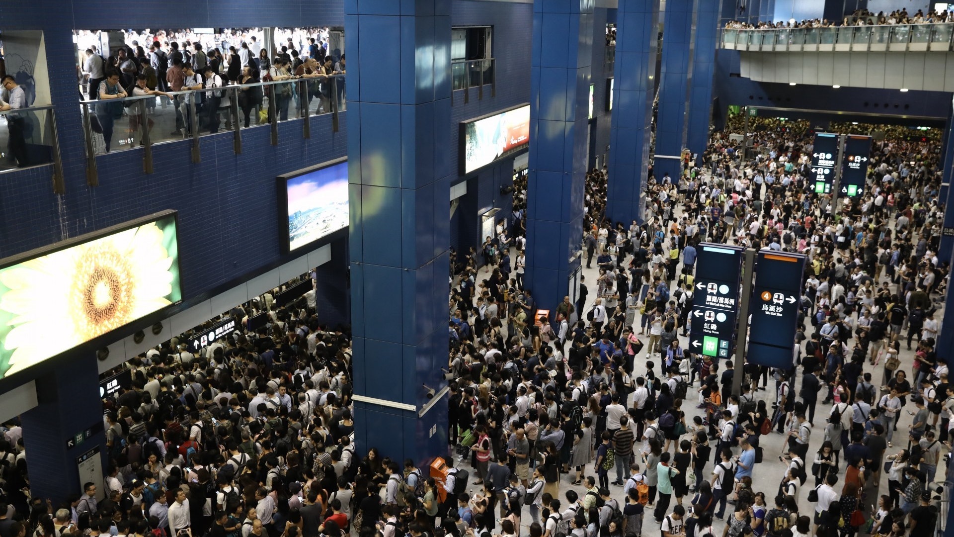 山竹災後混亂 公民黨提私人法案 擬特首可宣佈災難狀態 山竹災後混亂 公民黨提私人法案 擬特首可宣佈災難狀態