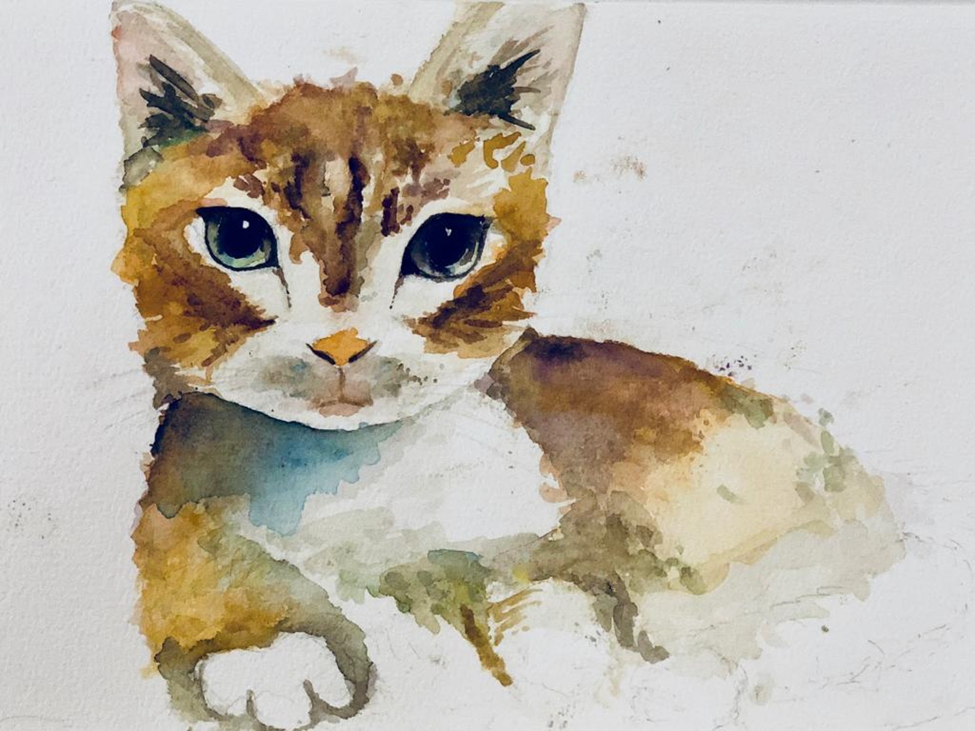 貓主Icy去年為芒果繪畫的水彩畫。(受訪者提供) 貓主Icy去年為芒果繪畫的水彩畫。(受訪者提供)