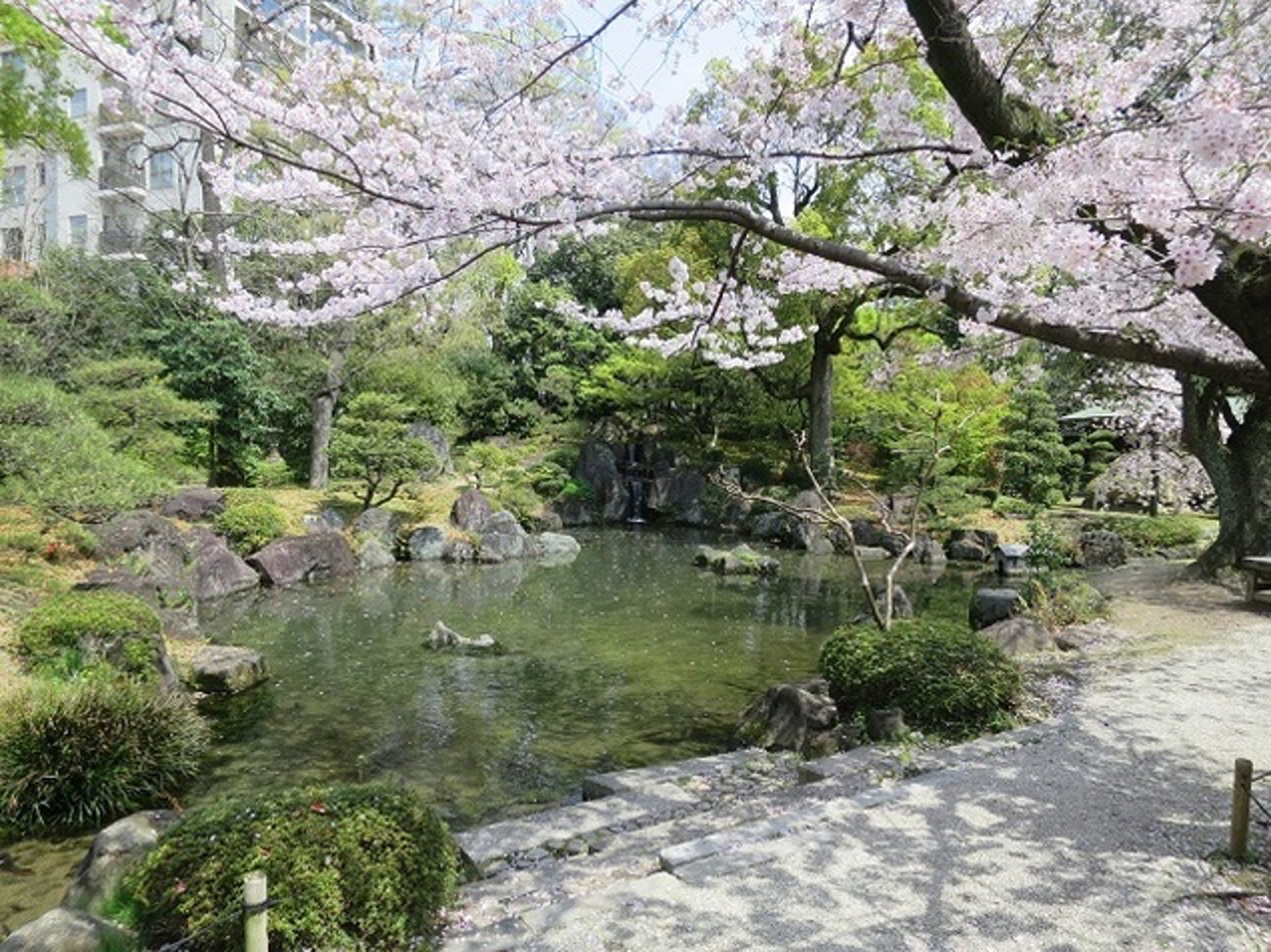 01. 總本山 四天王寺 |四天王寺是大阪市內賞櫻的熱點,寺院內種了枝垂櫻及吉野櫻,可以免費入內參觀。另外寺院內有個名為「極楽浄土の庭」的日式庭園,種植了50多棵櫻花樹,雖然須付費才可進入,但景色非常優美,絕對值回票價。(圖片來源:ウォーカープラス ) 01. 總本山 四天王寺 |四天王寺是大阪市內賞櫻的熱點,寺院內種了枝垂櫻及吉野櫻,可以免費入內參觀。另外寺院內有個名為「極楽浄土の庭」的日式庭園,種植了50多棵櫻花樹,雖然須付費才可進入,但景色非常優美,絕對值回票價。(圖片來源:ウォーカープラス )