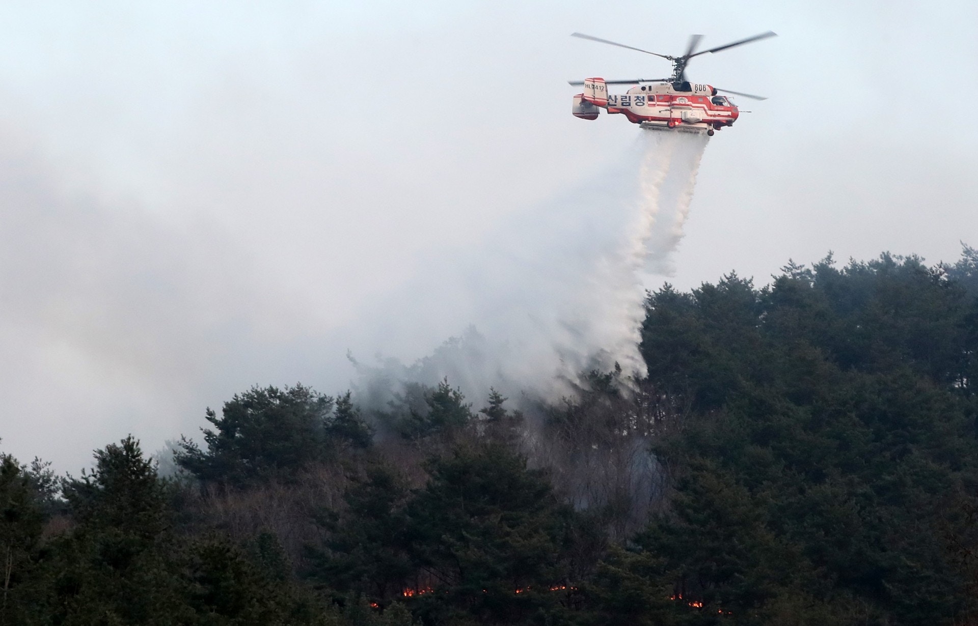 高城郡山火：韩国高城郡4月4日晚发生严重山火，政府动员51架直升机参与灌救。（视觉中国）