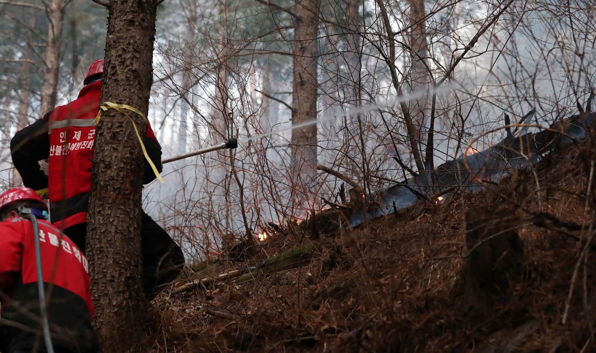 高城郡山火：韩国高城郡4月4日晚发生严重山火，政府出动逾万救援人员。（视觉中国）