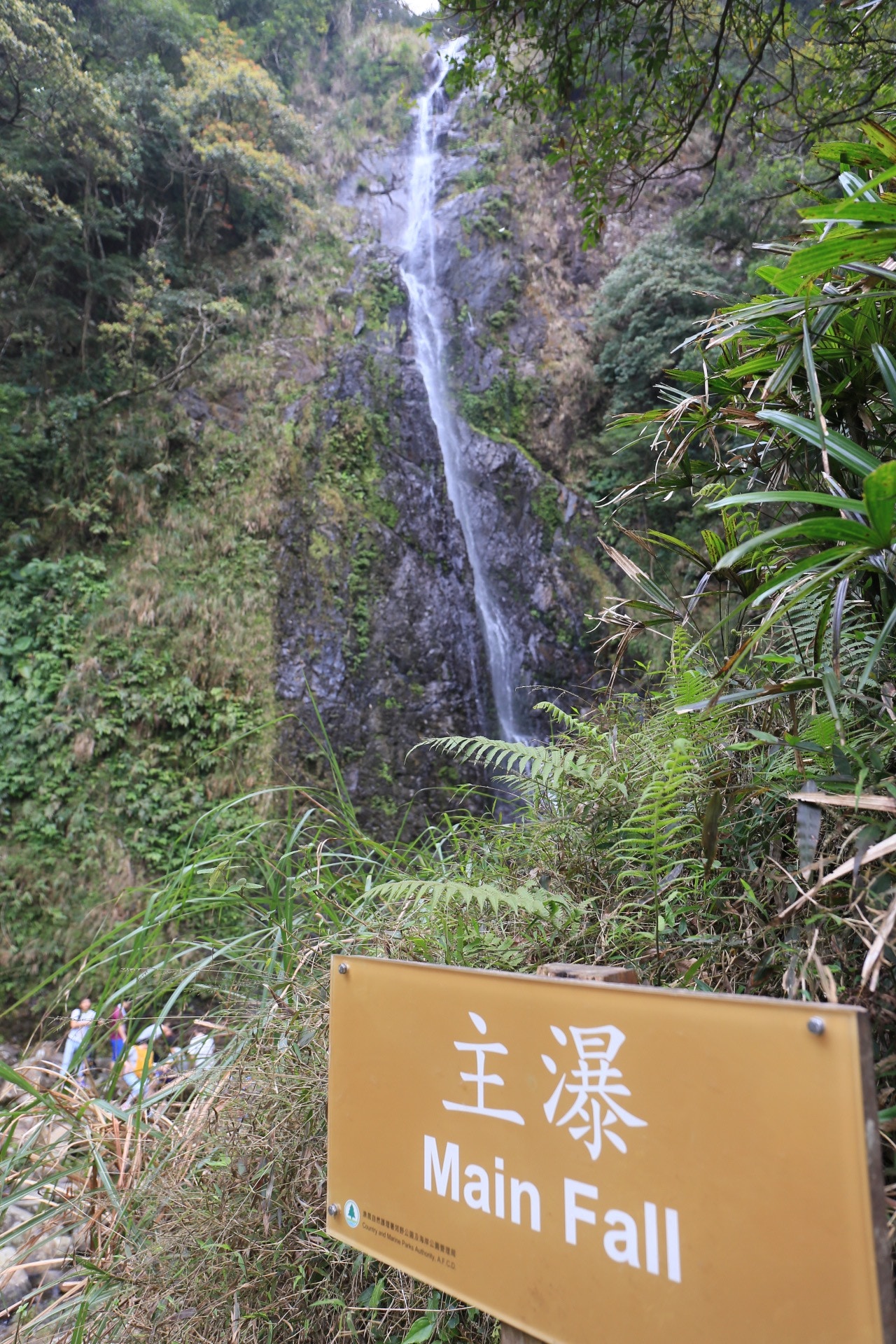 主瀑高度逾30米，是梧桐寨瀑布中最高。（資料圖片）