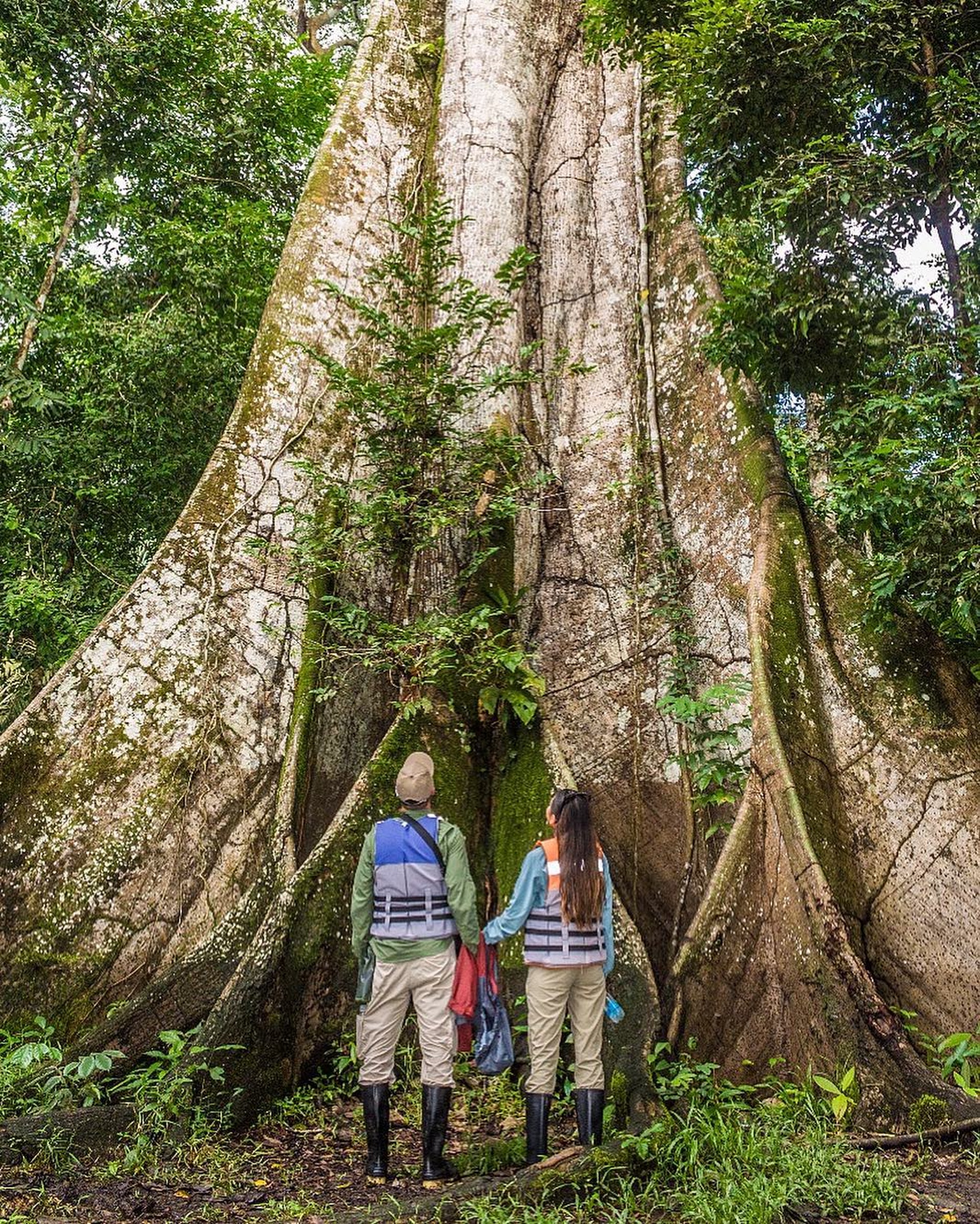6. 美洲亞馬遜熱帶雨林:亞馬遜熱帶雨林位於南美洲,佔地約 550 萬平方公里,等同於 150 個台灣的面積大小,擁有全球最大且物種最多的熱帶雨林,佔了世界雨林面積的一半,因此又被稱為「地球之肺」。(圖片來源:jordan_stanek@IG)