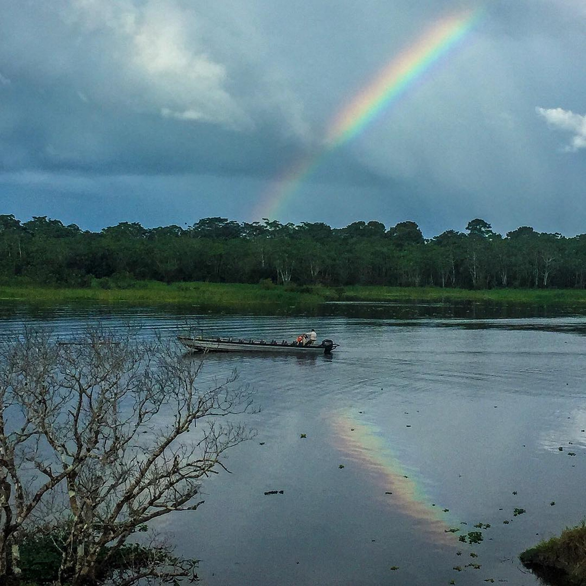 然而人類蓄意破壞,在雨林內進行森林砍伐,導致近五分之一的亞馬遜雨林受到破壞,加上降雨量嚴重減少和溫度上升兩項因素,都將導致雨林難以維持。(圖片來源:paddle.and.travel@IG)