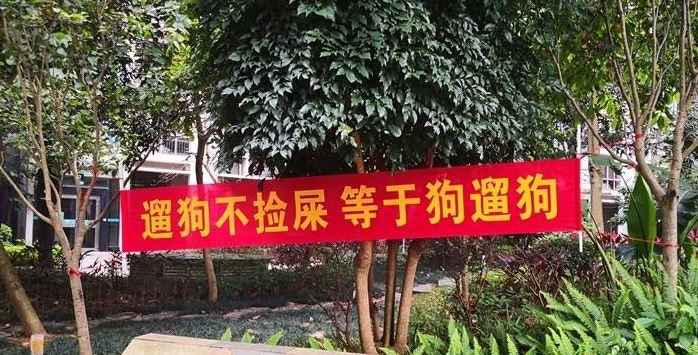 廣西屋苑現橫額諷刺無公德狗主：遛狗不撿屎，等於狗遛狗
