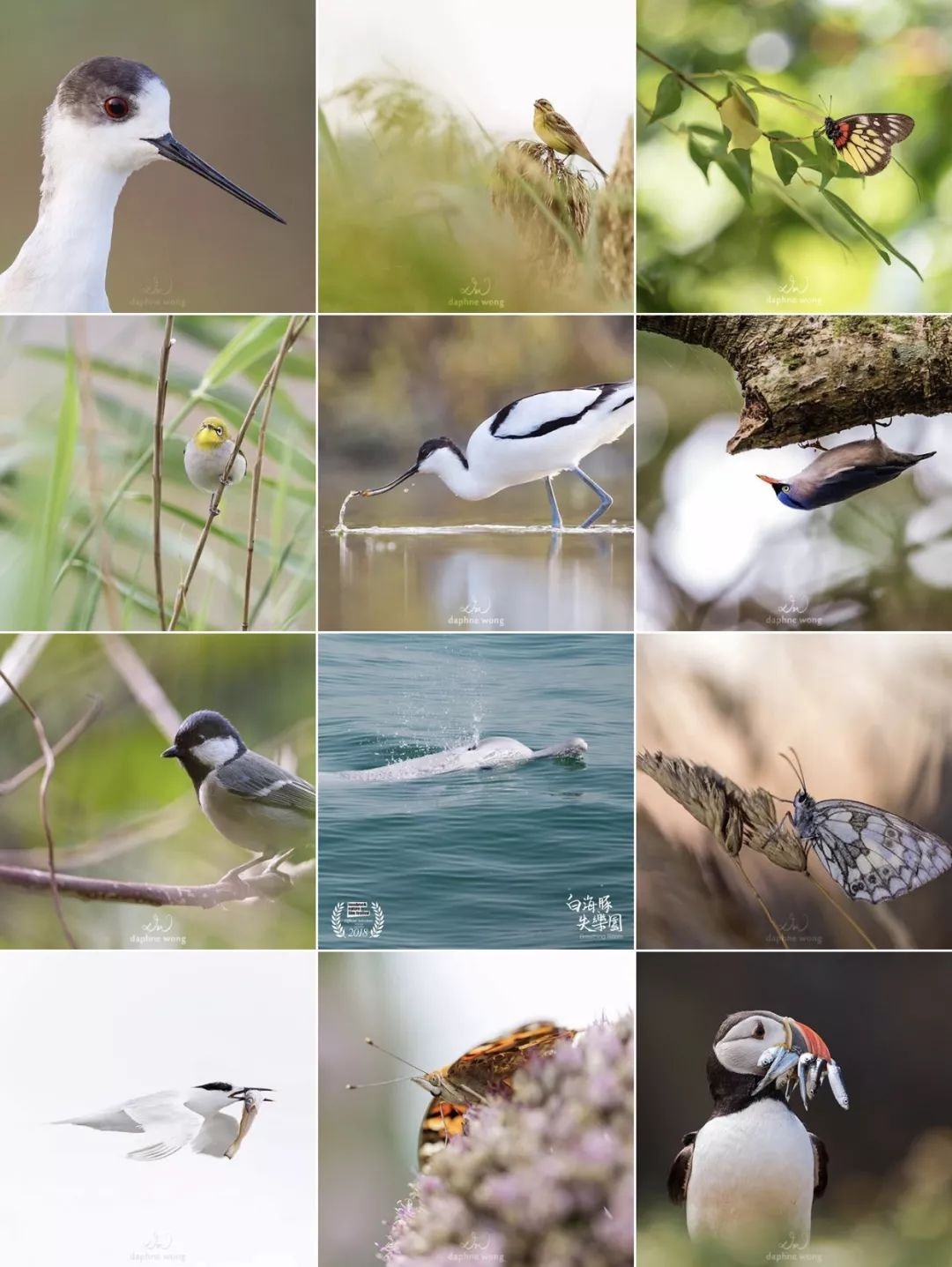 Daphne的社交媒體圖片分享(一条提供) Daphne的社交媒體圖片分享(一条提供)