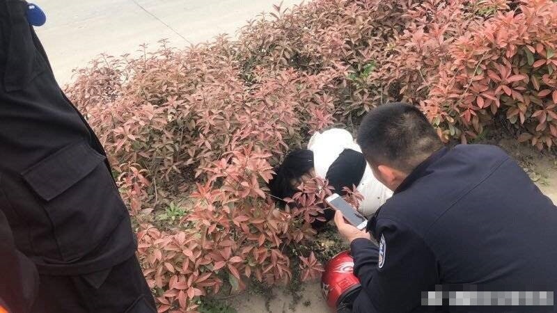 安徽市民報警稱草叢發現熊貓 警察趕抵才知是倒臥醉酒女 安徽市民報警稱草叢發現熊貓 警察趕抵才知是倒臥醉酒女