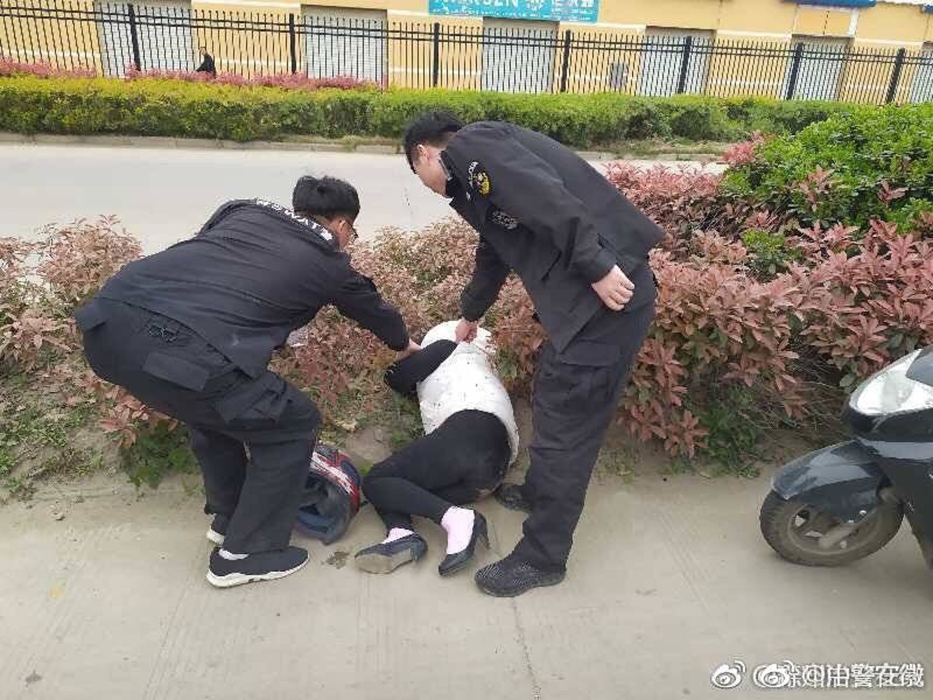 來安縣警方收到群眾報警,稱其在草叢中發現一隻熊貓。最終民警卻發現這隻「熊貓」原來是一個醉酒女子。(安徽公安微博) 來安縣警方收到群眾報警,稱其在草叢中發現一隻熊貓。最終民警卻發現這隻「熊貓」原來是一個醉酒女子。(安徽公安微博)