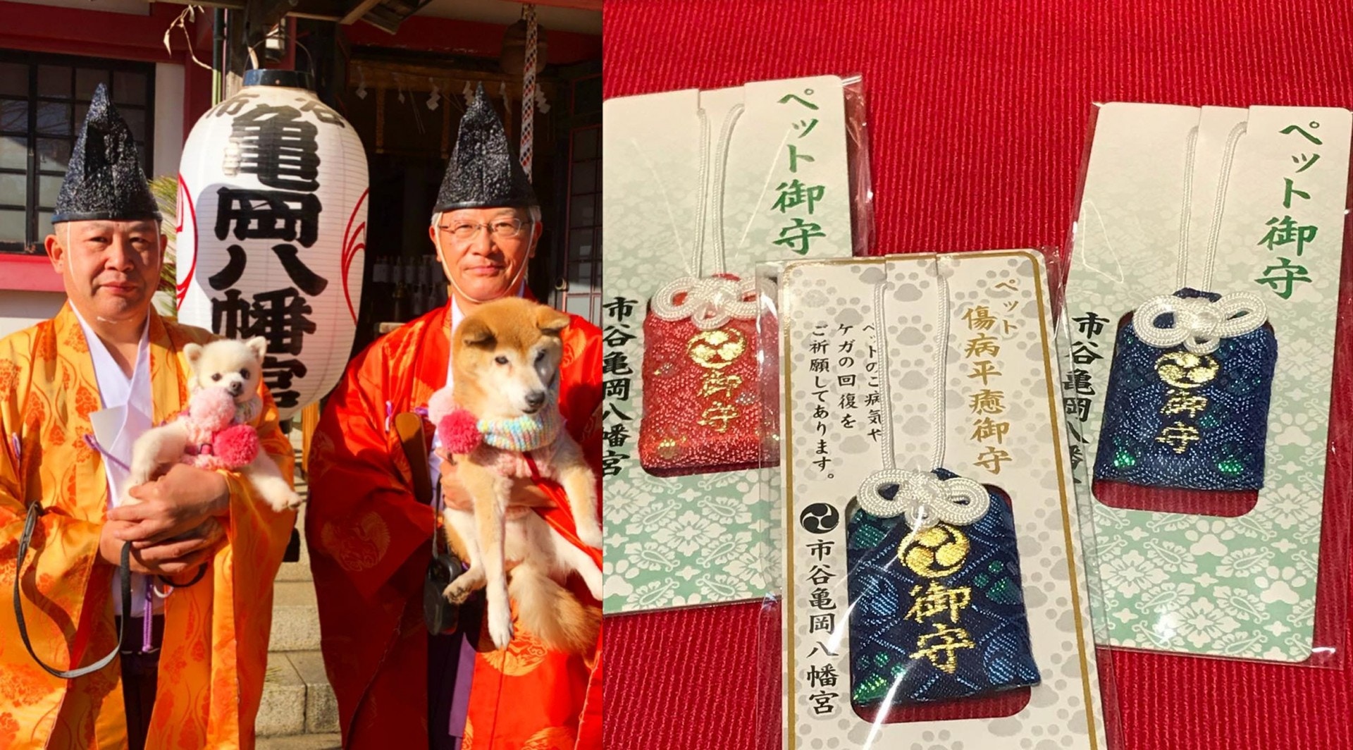 寵主必去 東京人氣寵物神社 亀岡八幡宮 為貓狗祈福 香港01 寵物