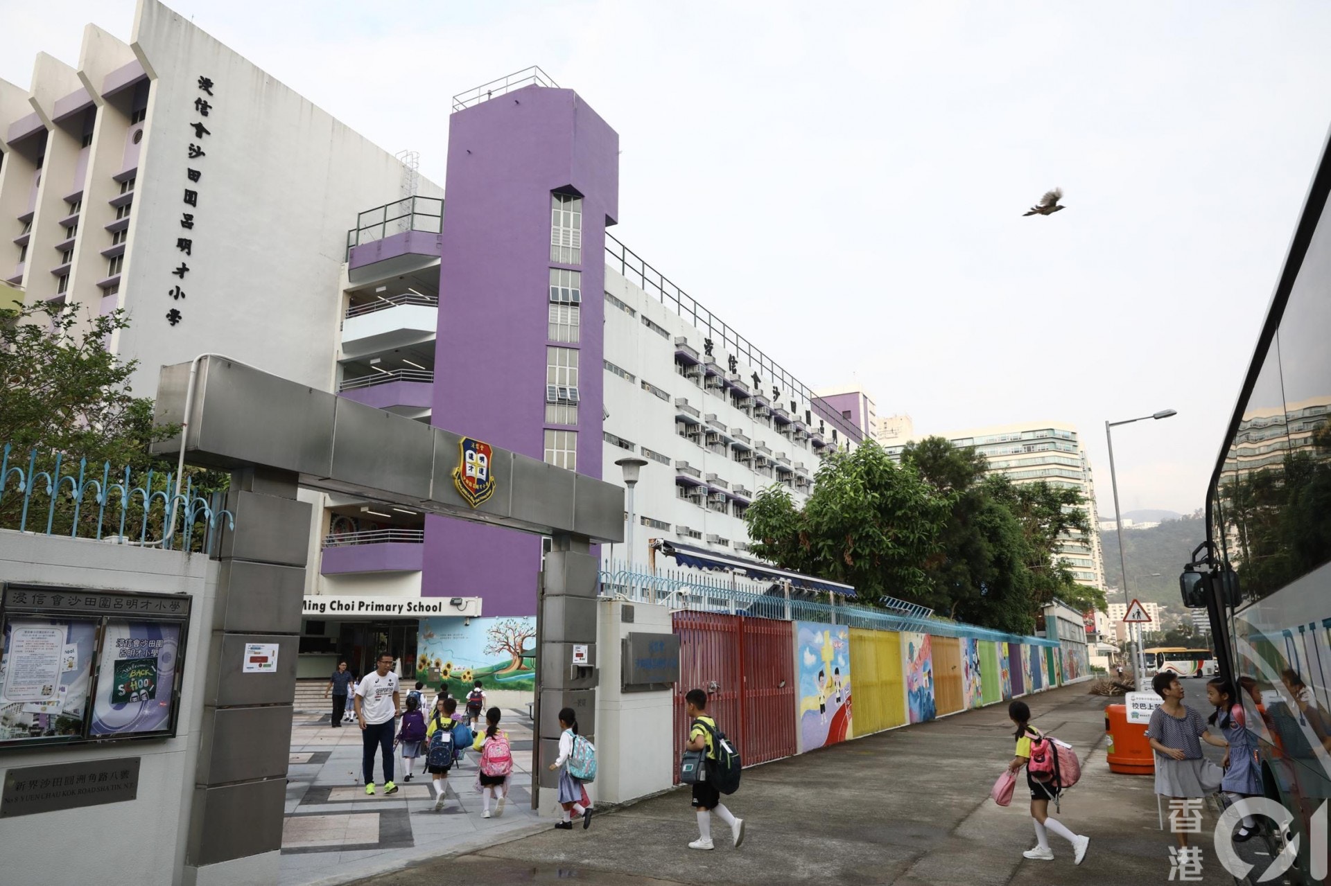 91校網｜小學學校名單+校網地圖　包括沙田圍呂明才、培基、主風