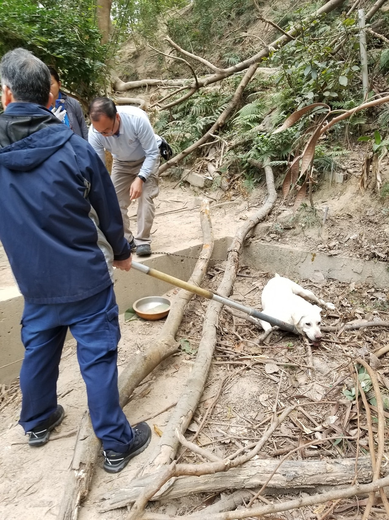 漁護署表示,套索沒有傷害到狗狗。(Erica圖片) 漁護署表示,套索沒有傷害到狗狗。(Erica圖片)
