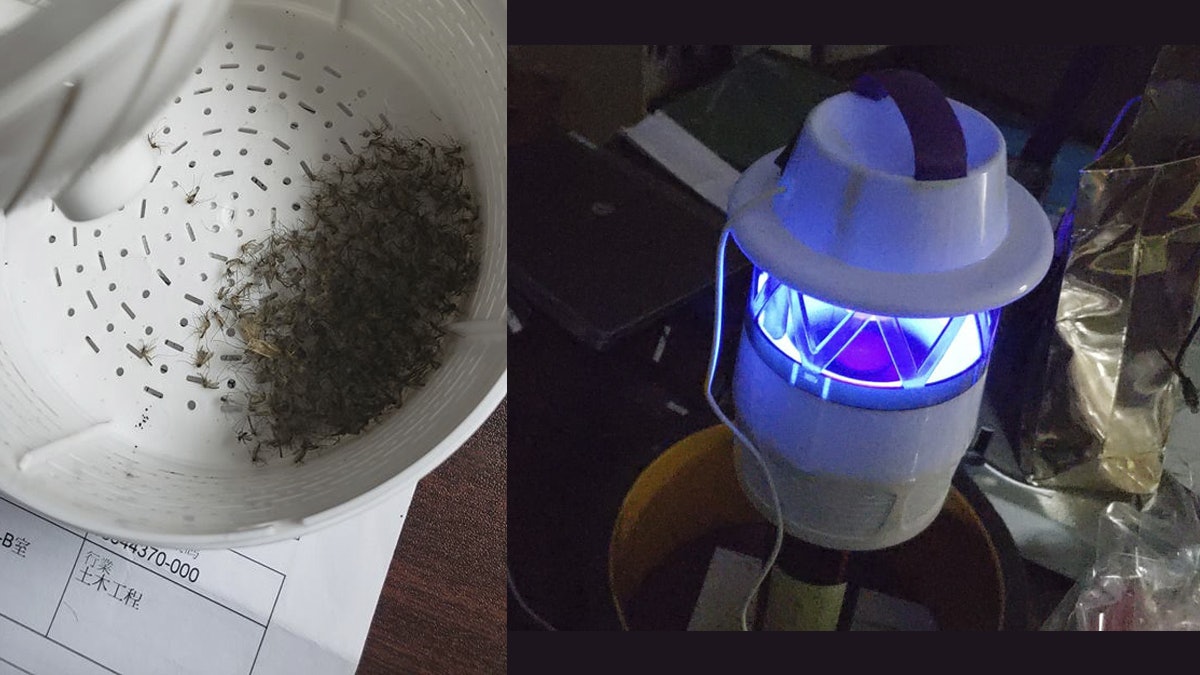 放滅蚊神器直搗蚊家族 成堆蚊屍極壯觀 地盤男:以前如吸血放題 放滅蚊神器直搗蚊家族 成堆蚊屍極壯觀 地盤男:以前如吸血放題