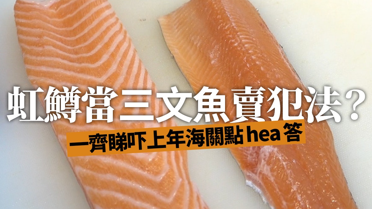 三文魚 消委會揭發 爭鮮事件2 0 食安部門難辭其咎 香港01 01觀點 三文魚 消委會揭發 爭鮮事件2 0 食安部門難辭其咎 香港01 01觀點