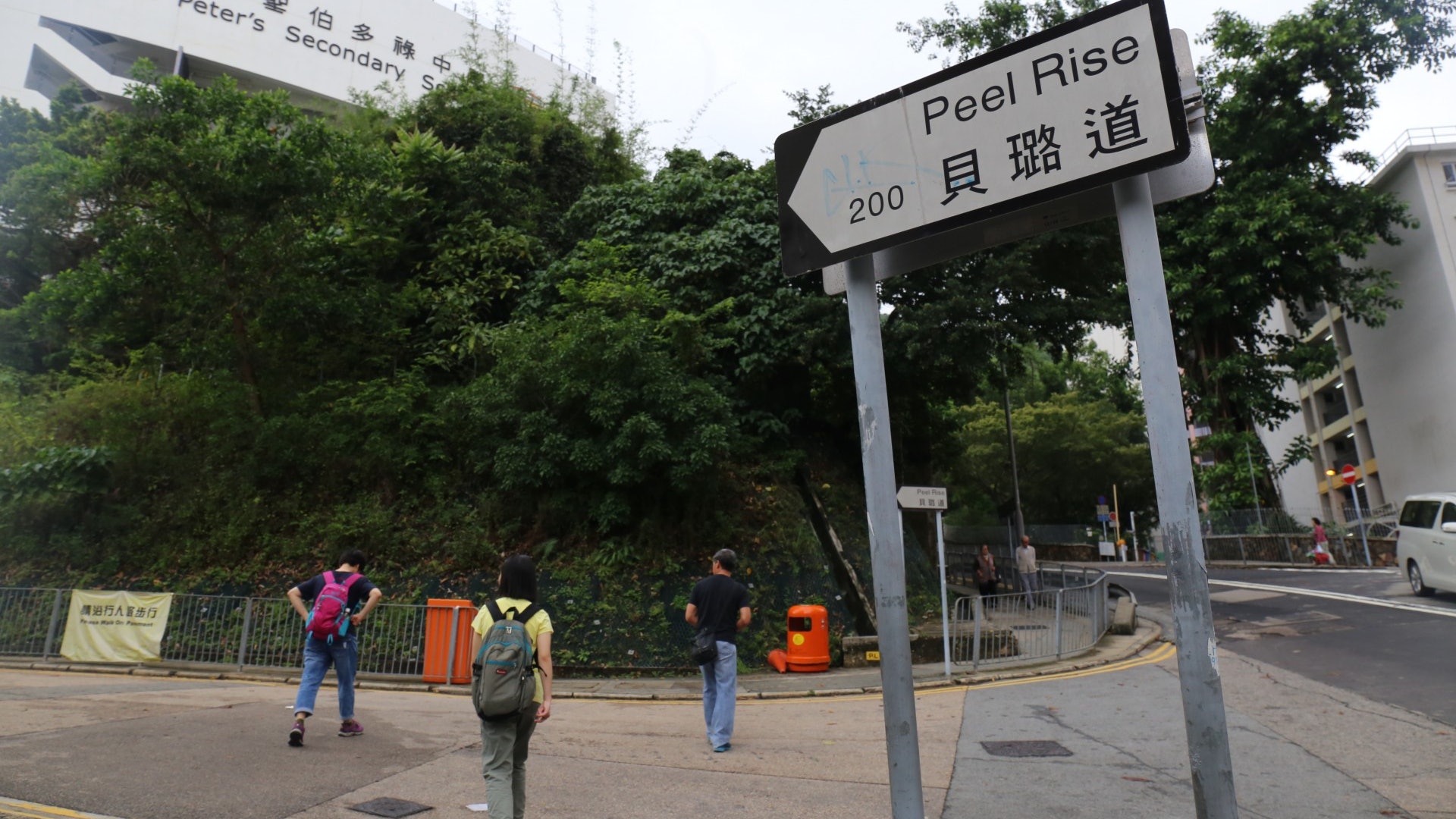 山頂貝璐道小狗誤墜山坡困引水道 後腿受傷 山頂貝璐道小狗誤墜山坡困引水道 後腿受傷