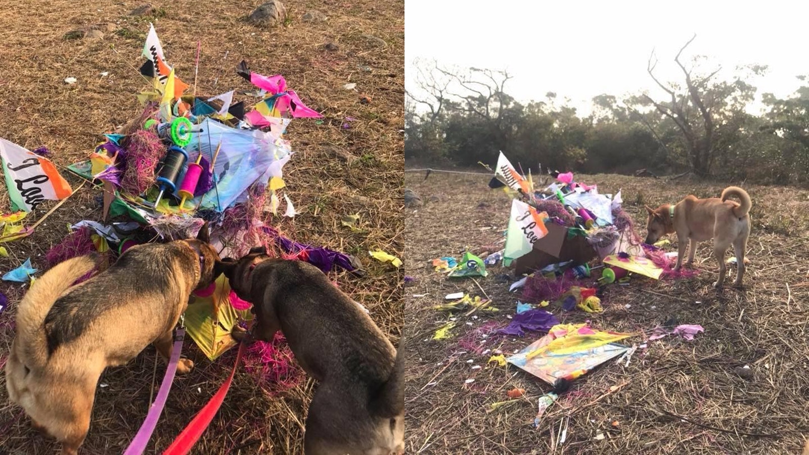 她指港人郊遊,玩完風箏後不收拾妥當,而是胡亂棄置。(Fion提供) 她指港人郊遊,玩完風箏後不收拾妥當,而是胡亂棄置。(Fion提供)