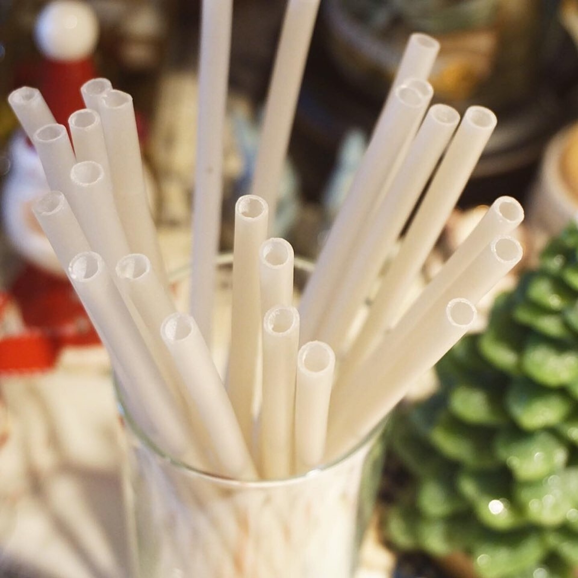 大米飲管,質地硬淨,浸於熱飲2至3小時都冇問題,甚至可以直接食用,咬起來有點像飯焦。(Instagram:ricestrawtechnologies)