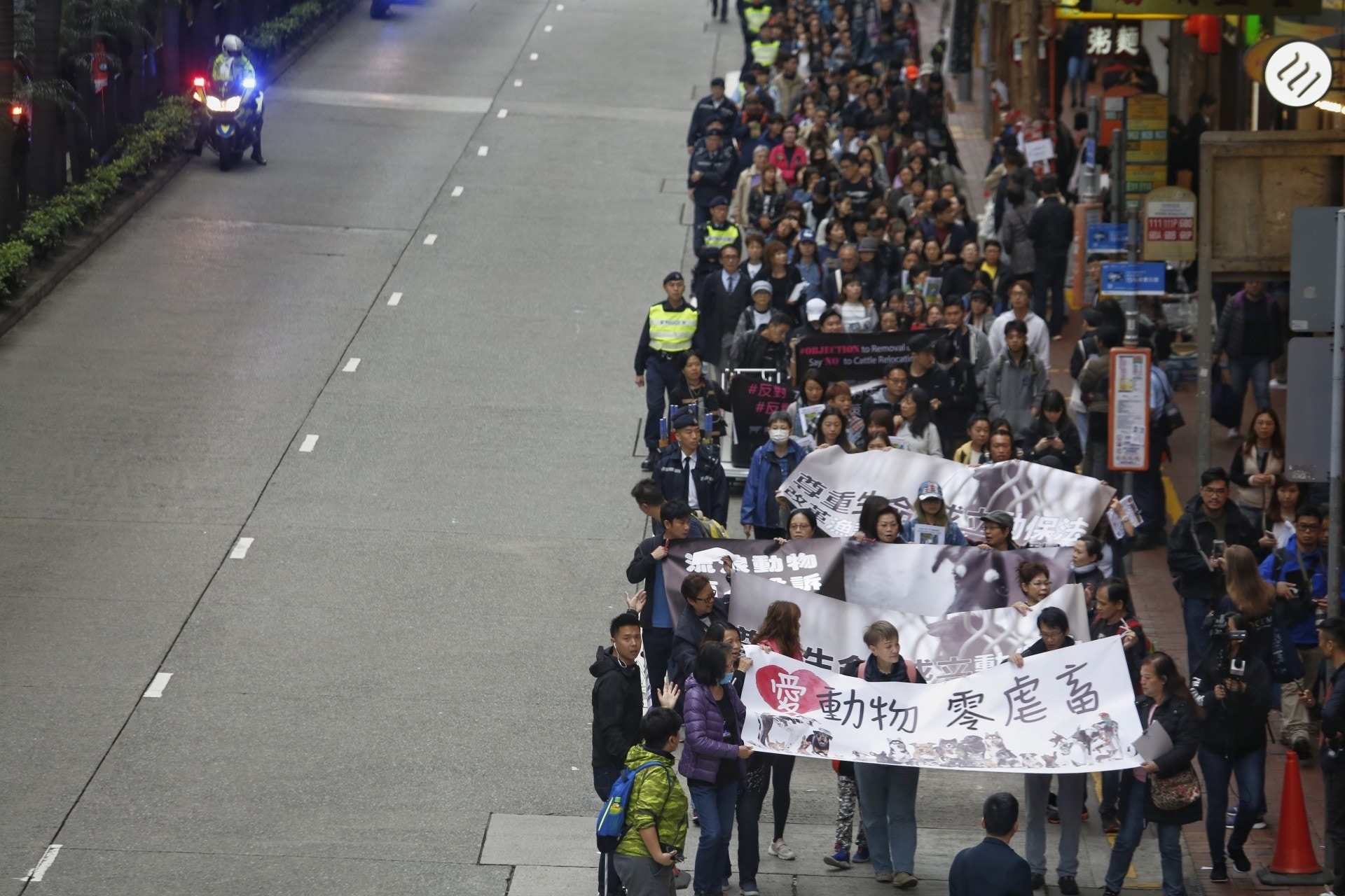 民間爭取成立動物福利法呼聲高漲,港府最快將於明天起至7月底,就相關法例修訂及草擬展開公眾諮詢。(資料圖片) 民間爭取成立動物福利法呼聲高漲,港府最快將於明天起至7月底,就相關法例修訂及草擬展開公眾諮詢。(資料圖片)
